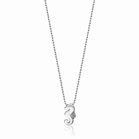 Alex Woo Little Seasons Seahorse