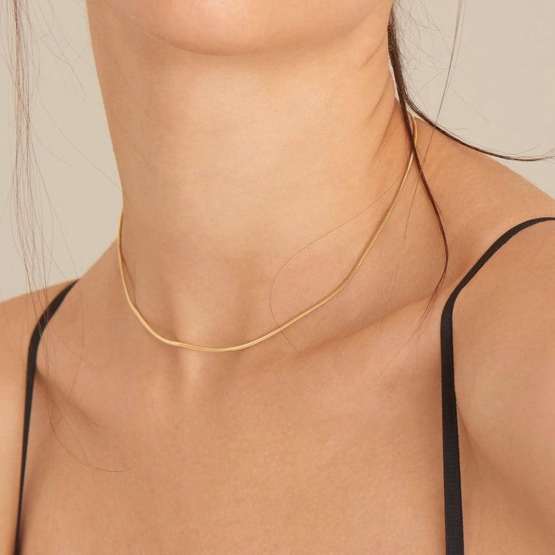 Ania Haie Snake Chain Necklace