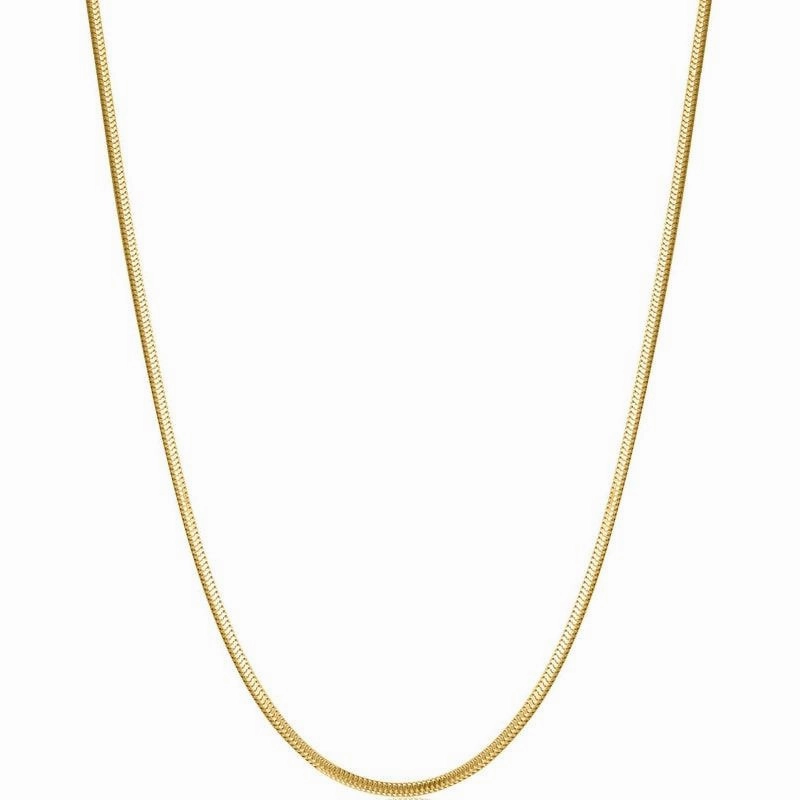 Ania Haie Snake Chain Necklace