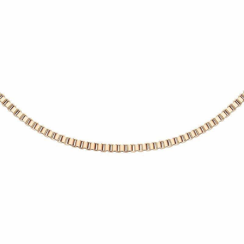 Daniel Wellington Elan Box Chain Necklace Rose Gold