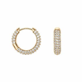 Daniel Wellington Pav Crystal Earrings Gold