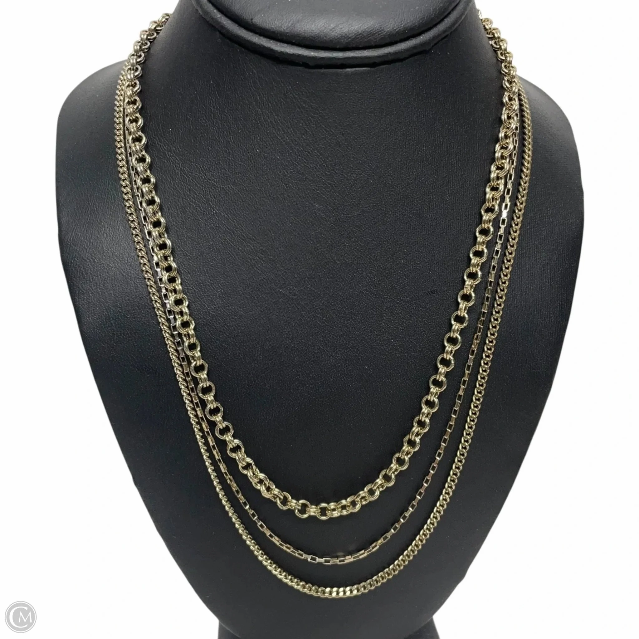 Necklace Chain By Ann Taylor