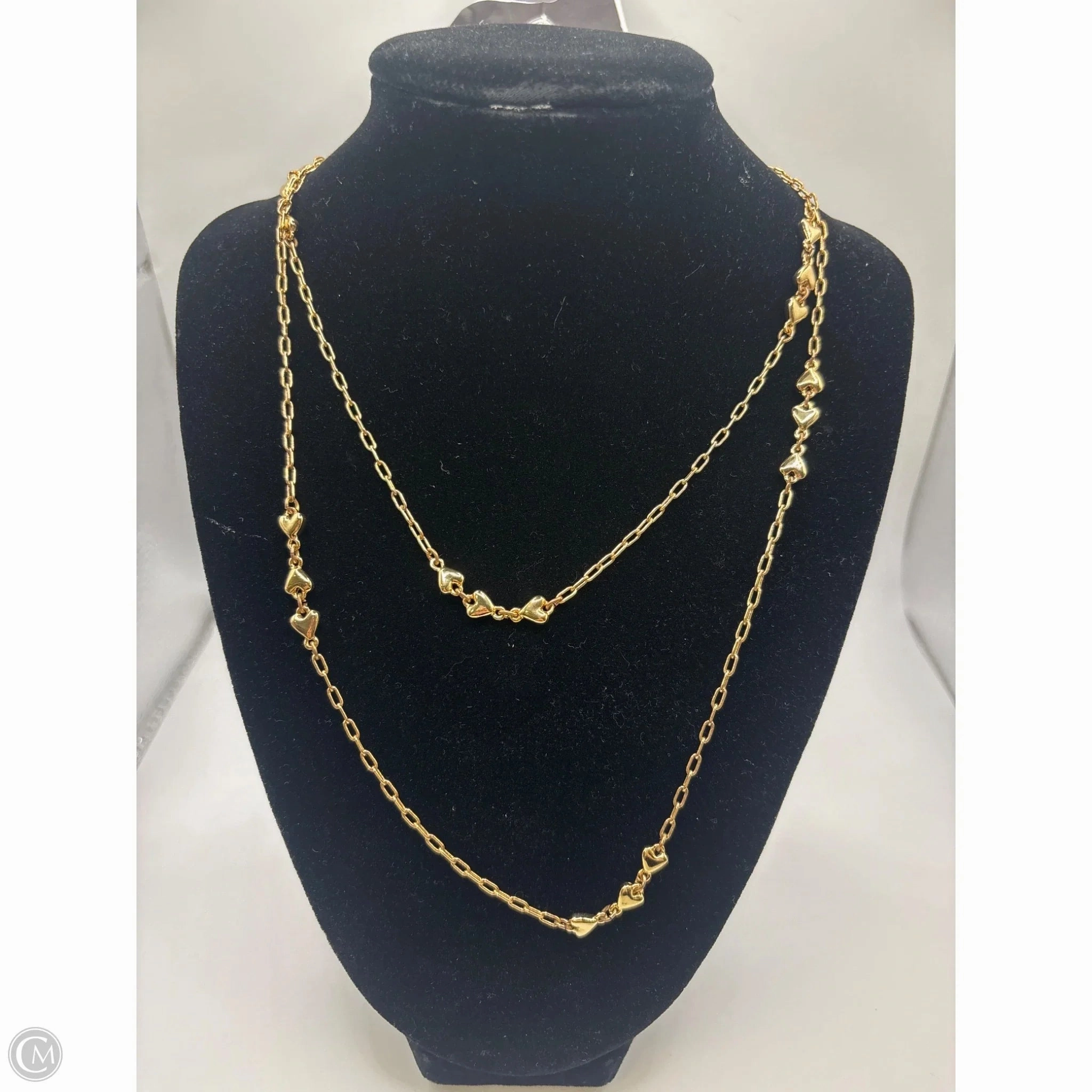 Necklace Chain By Ann Taylor, Size: 1