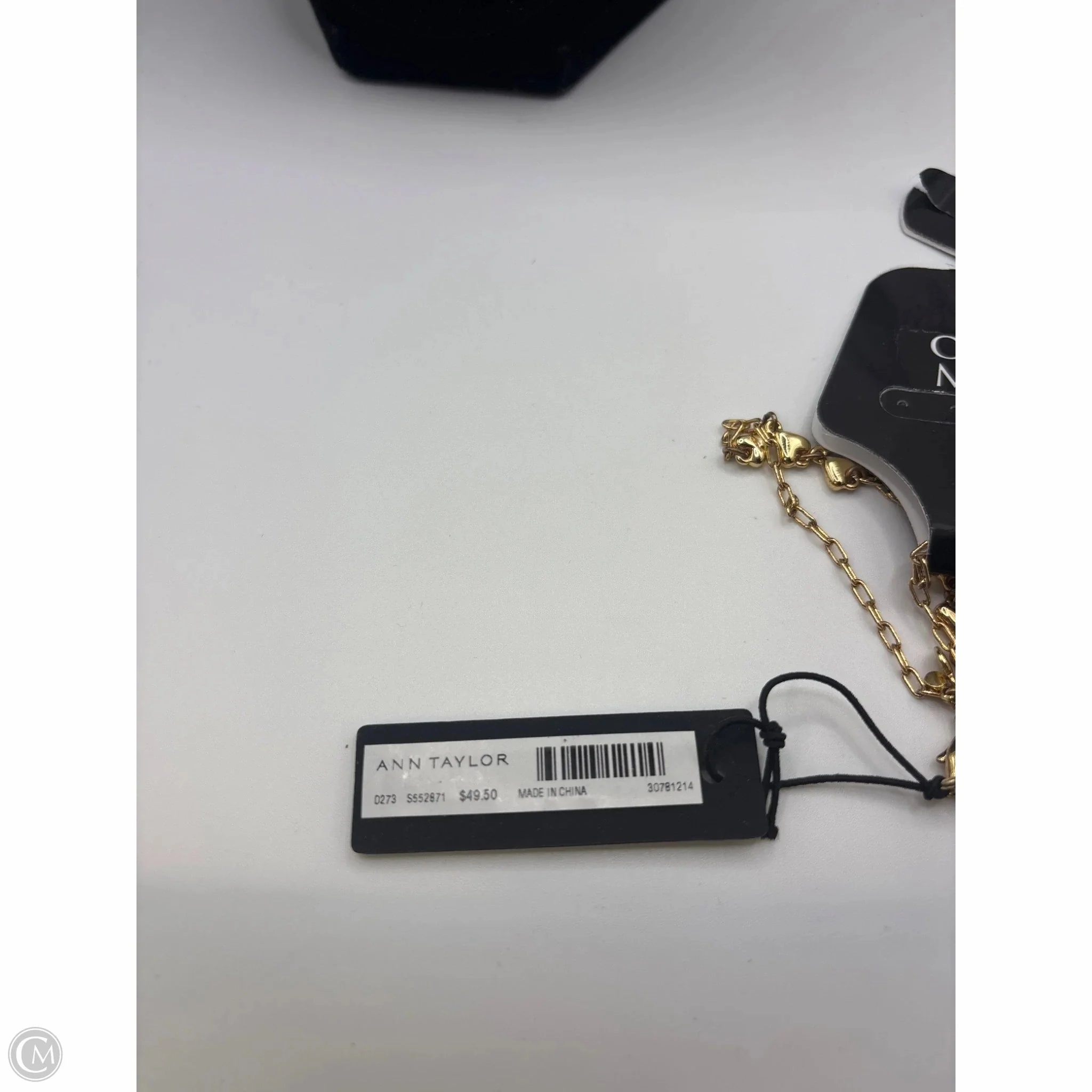 Necklace Chain By Ann Taylor, Size: 1