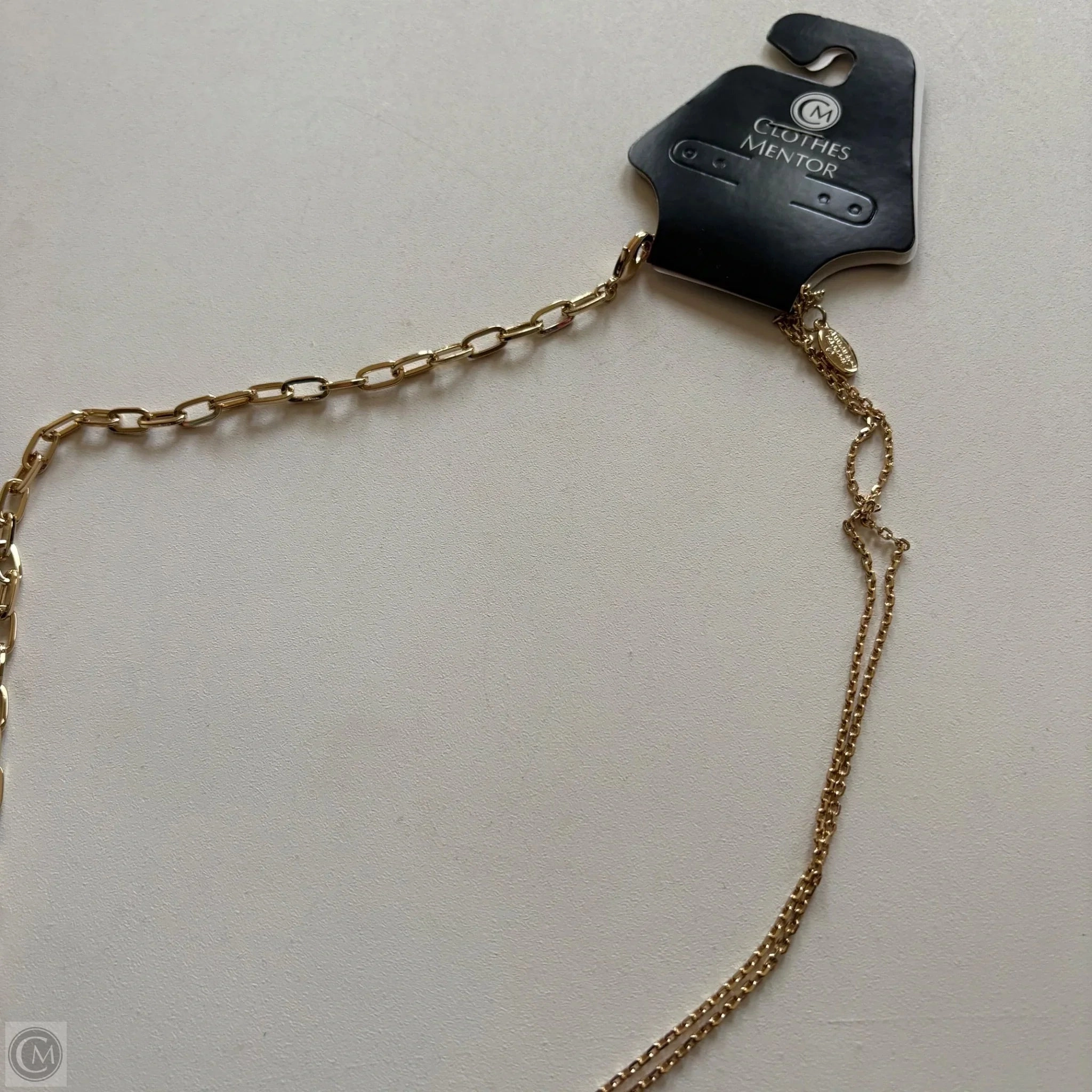 Necklace Chain By Ann Taylor