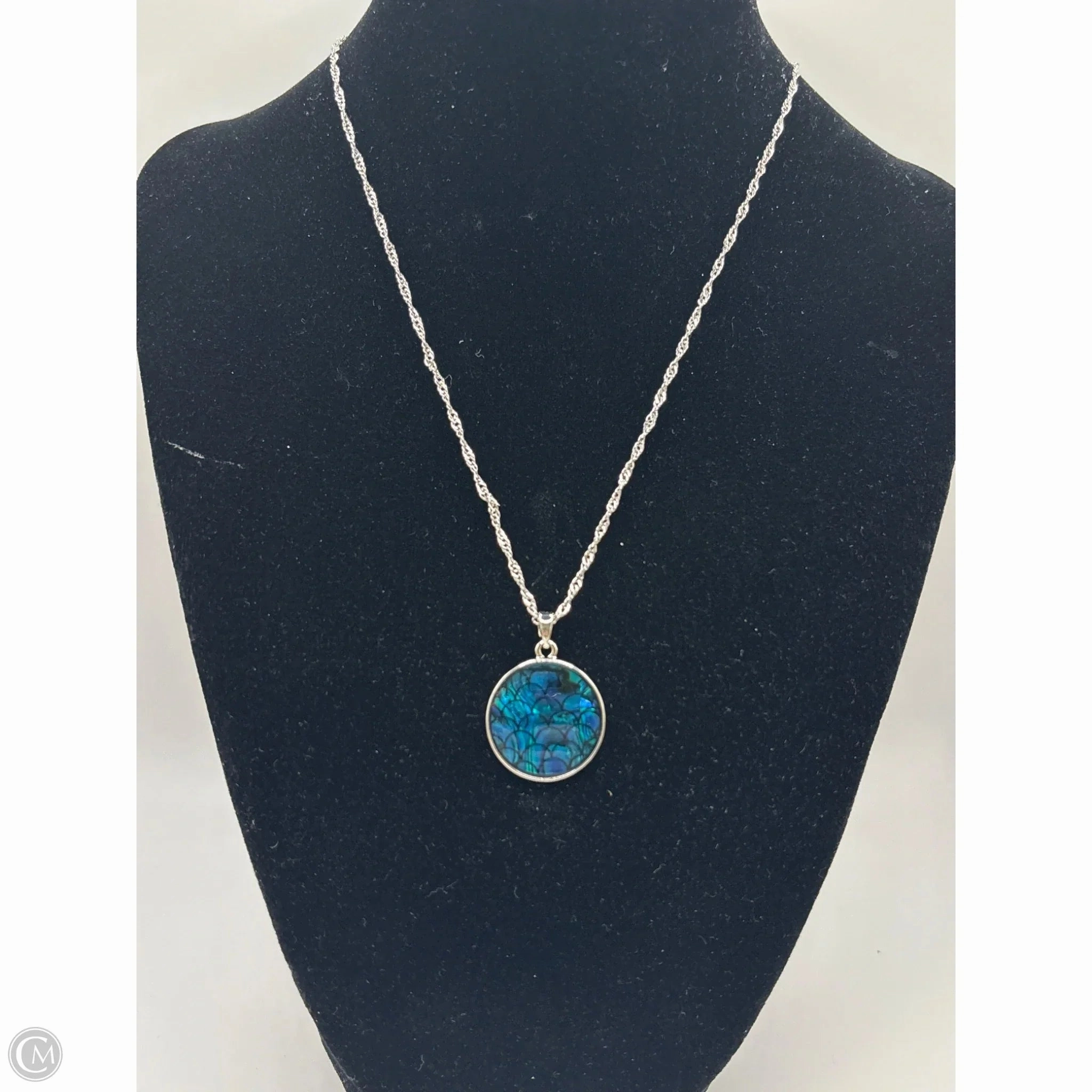 Necklace Chain By Clothes Mentor