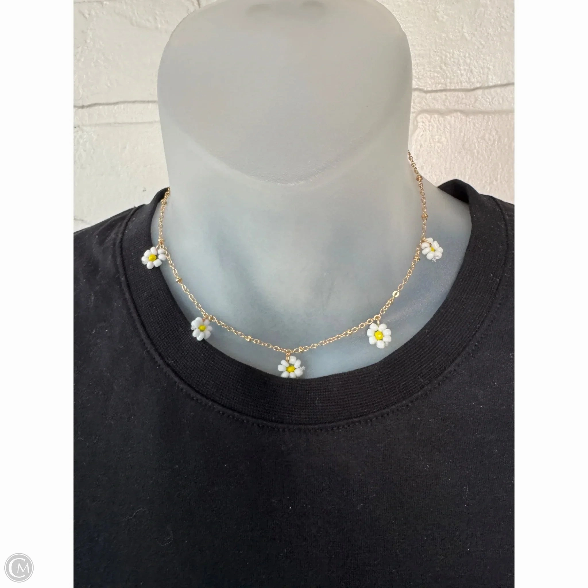 Necklace Chain By Clothes Mentor