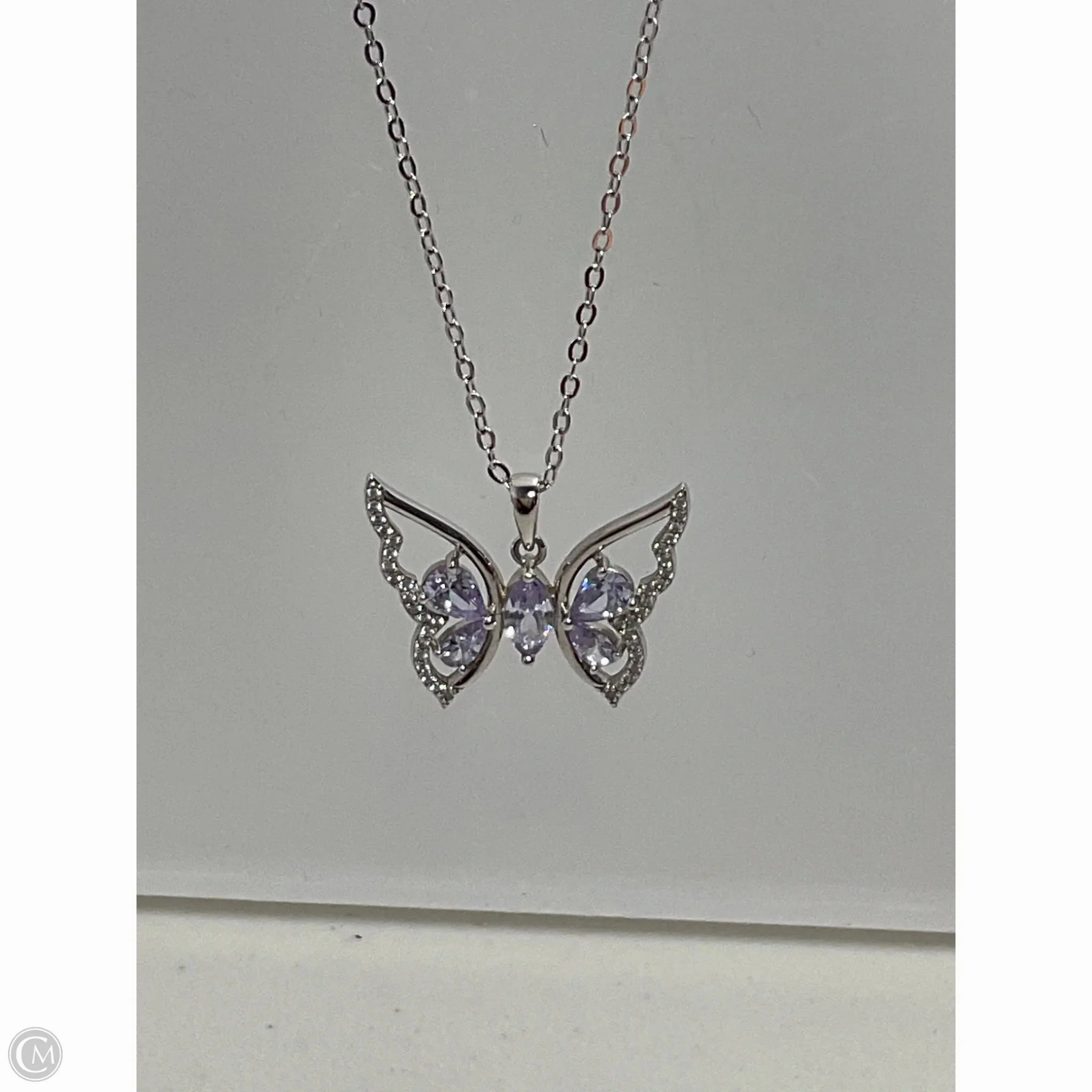 Necklace Chain By Clothes Mentor