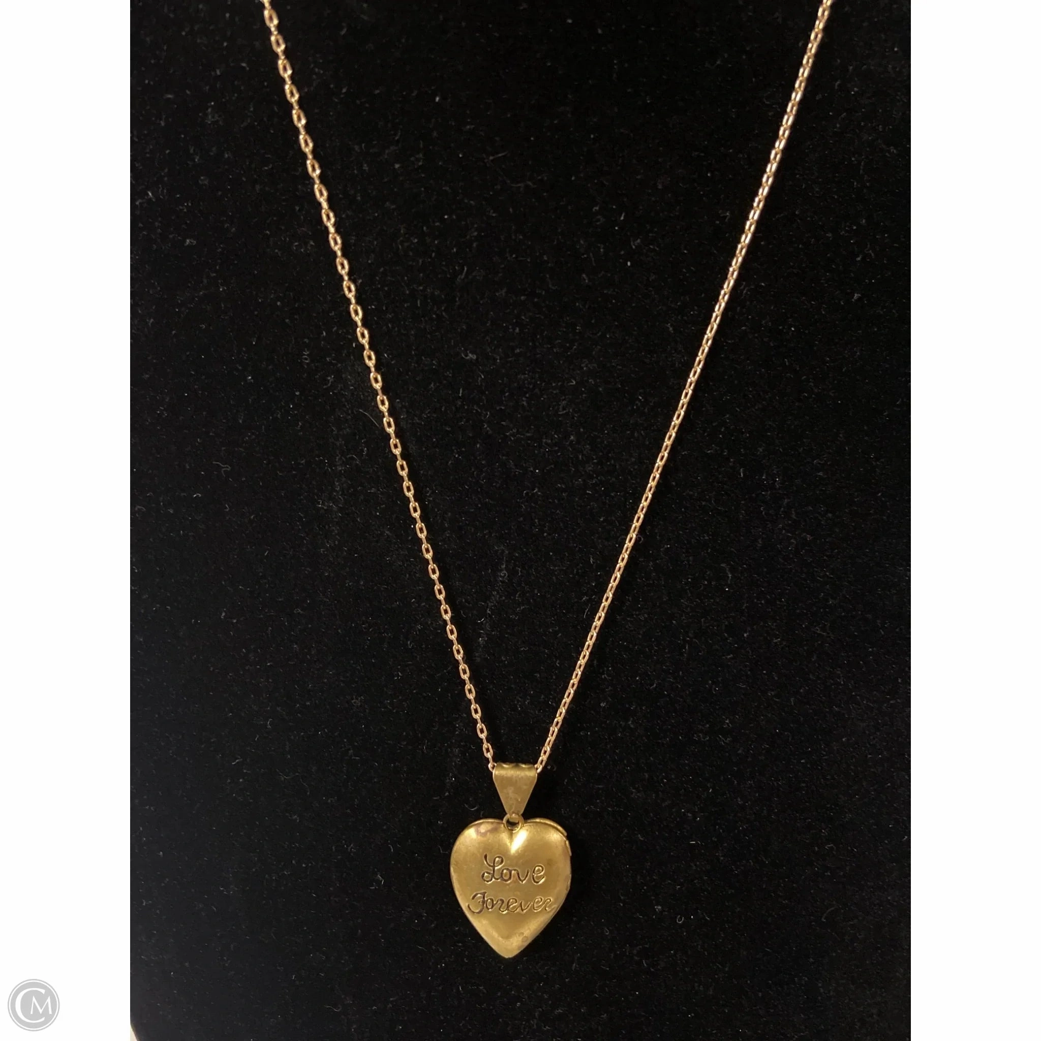 Necklace Chain By Clothes Mentor