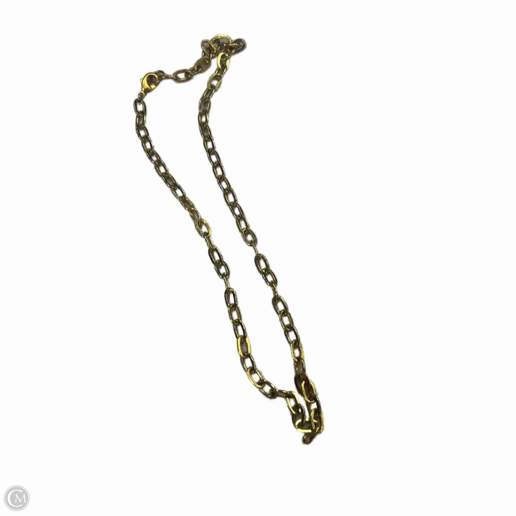 Necklace Chain By Clothes Mentor