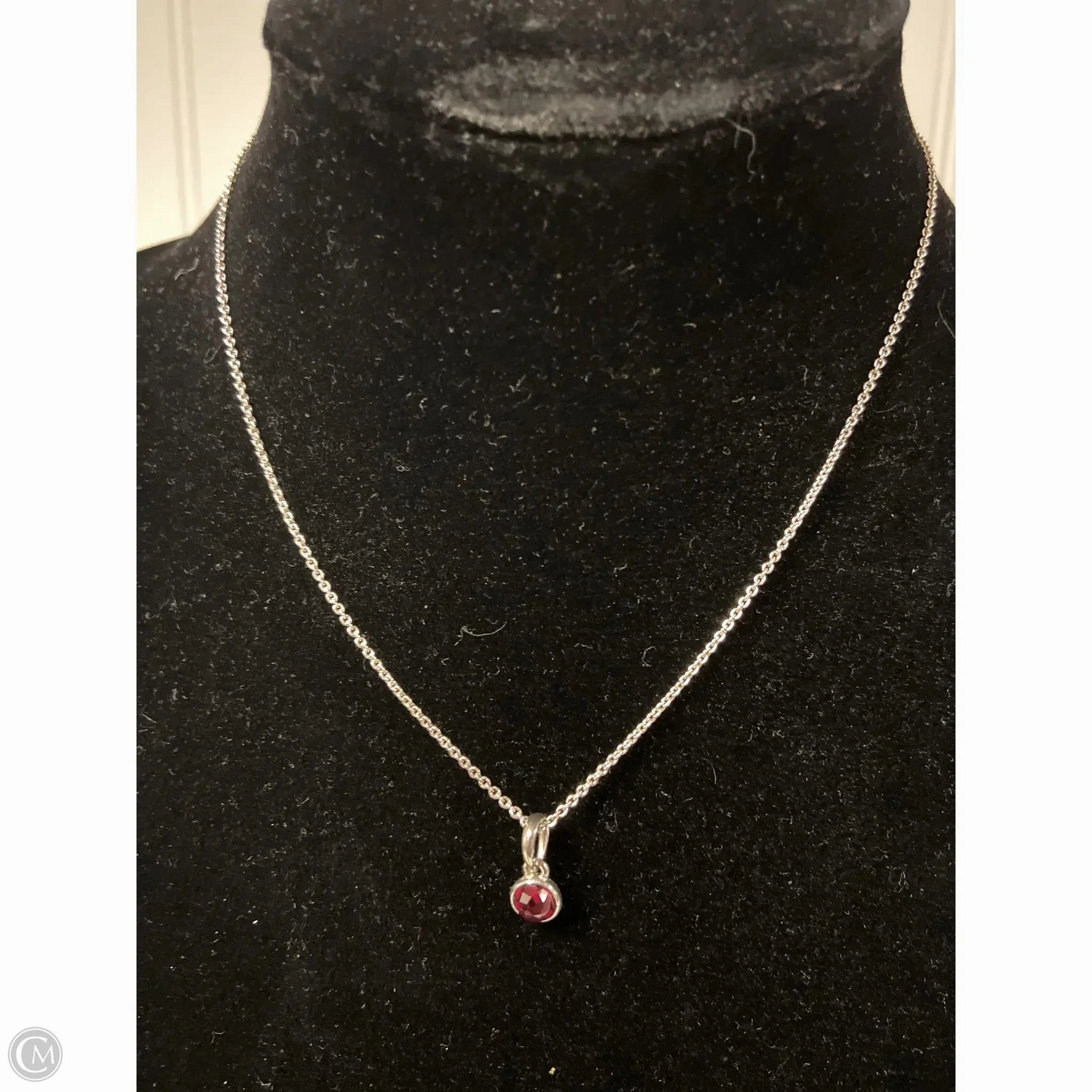 Necklace Chain By Clothes Mentor