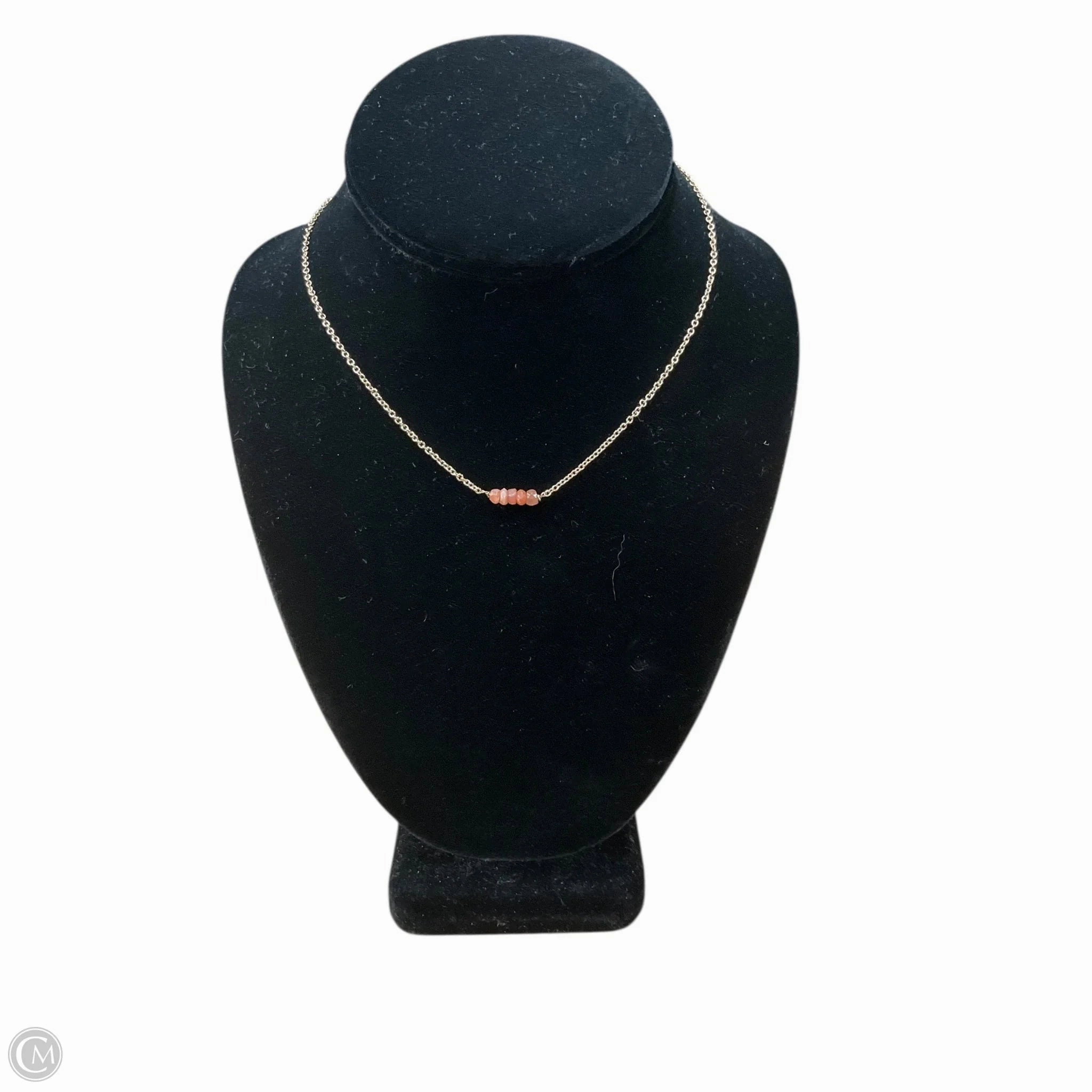 Necklace Chain By Clothes Mentor