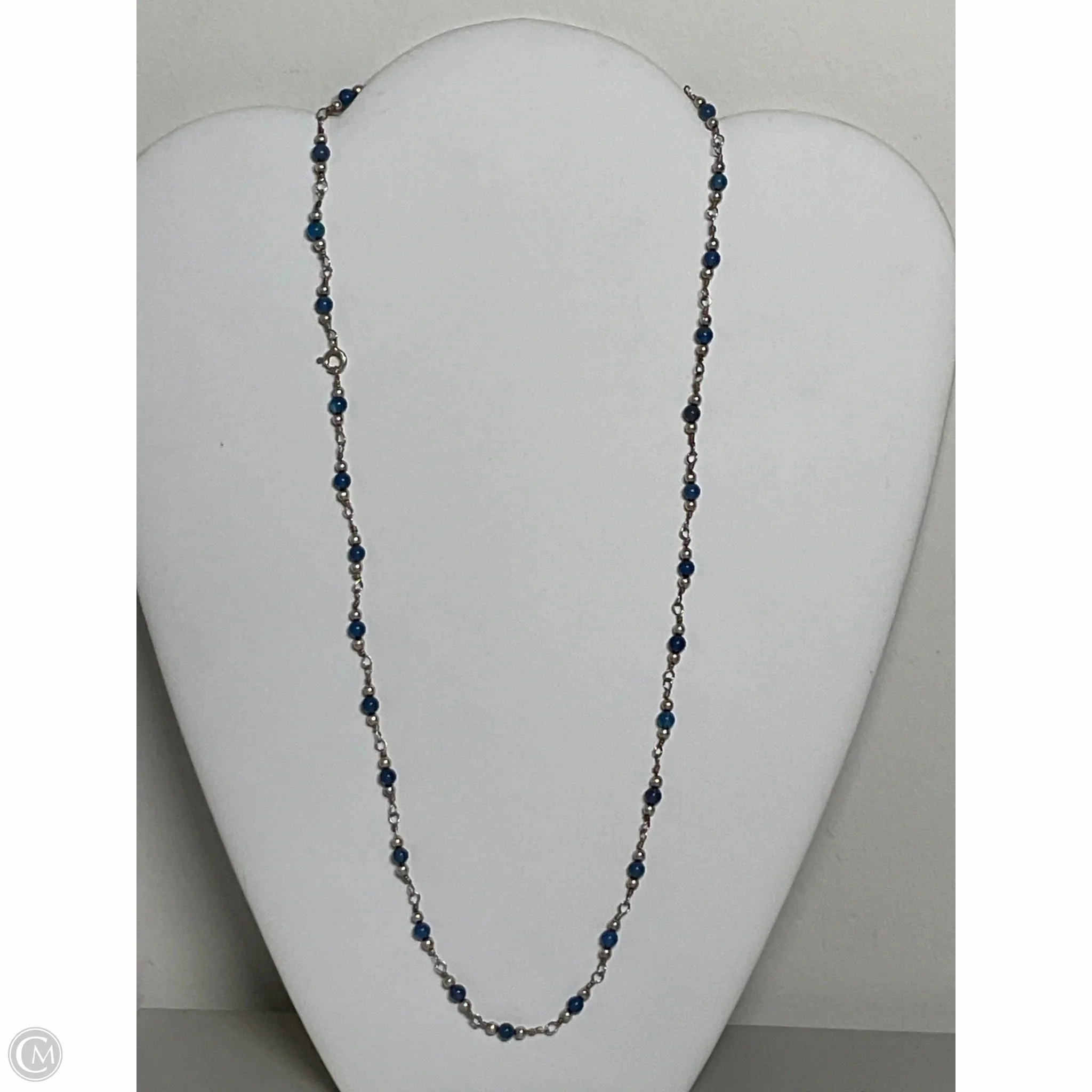 Necklace Chain By Clothes Mentor