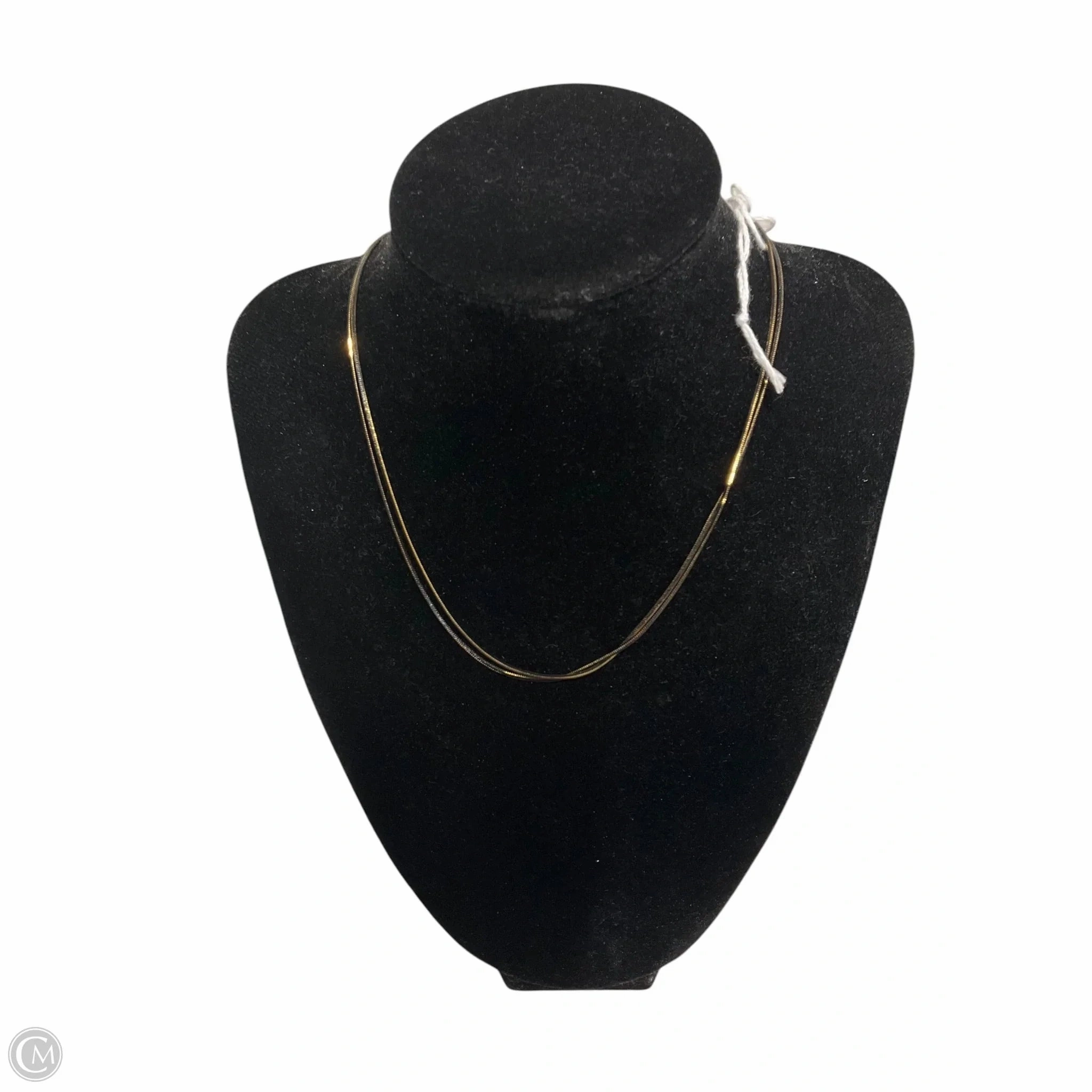 Necklace Chain By Clothes Mentor