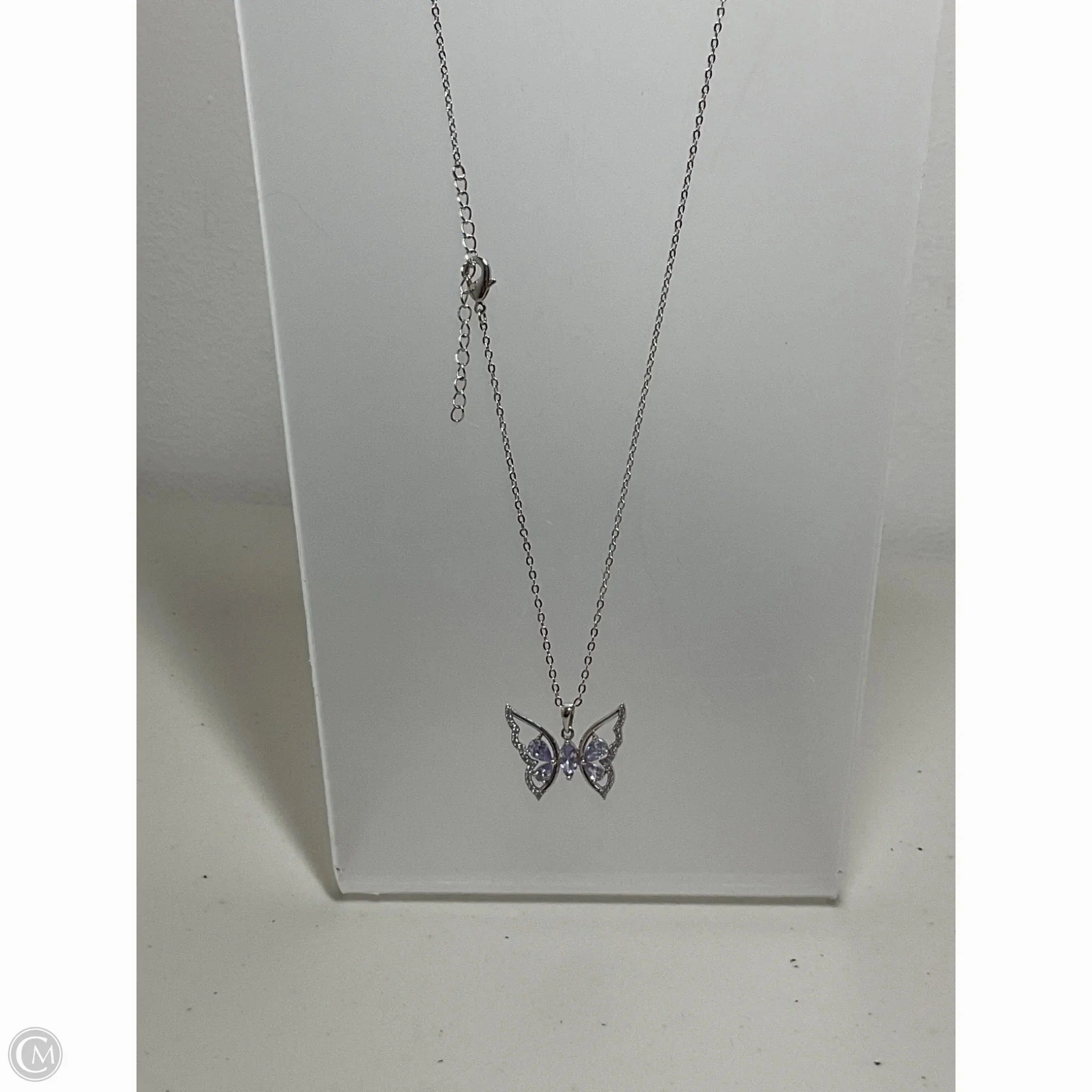 Necklace Chain By Clothes Mentor