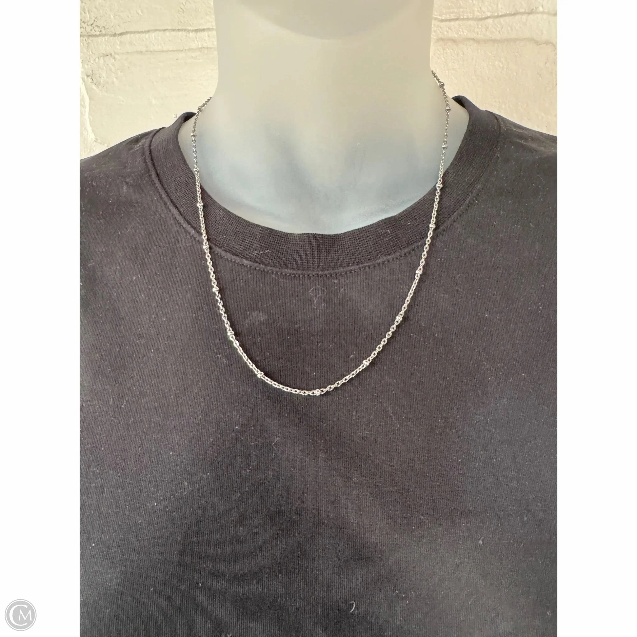 Necklace Chain By Clothes Mentor