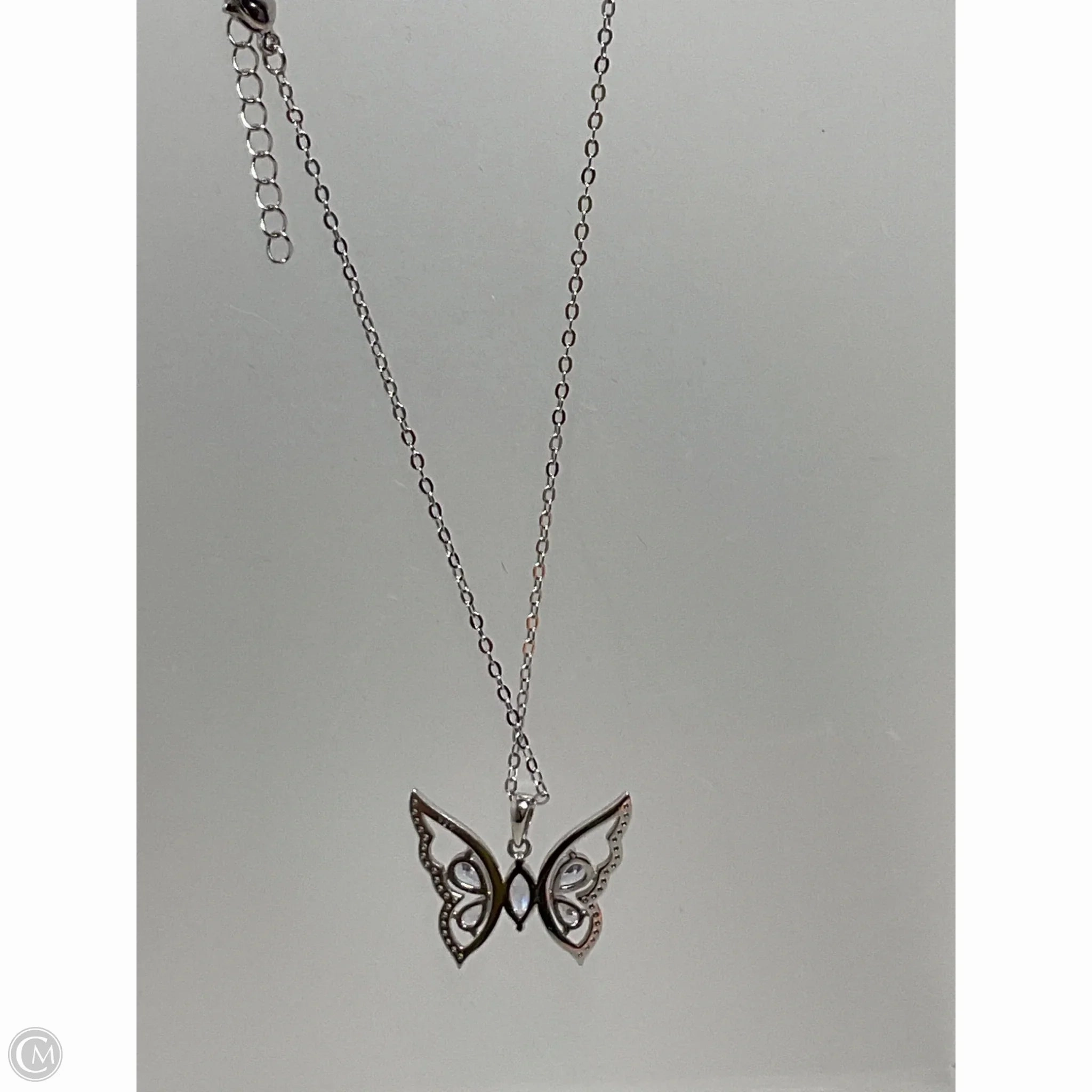 Necklace Chain By Clothes Mentor