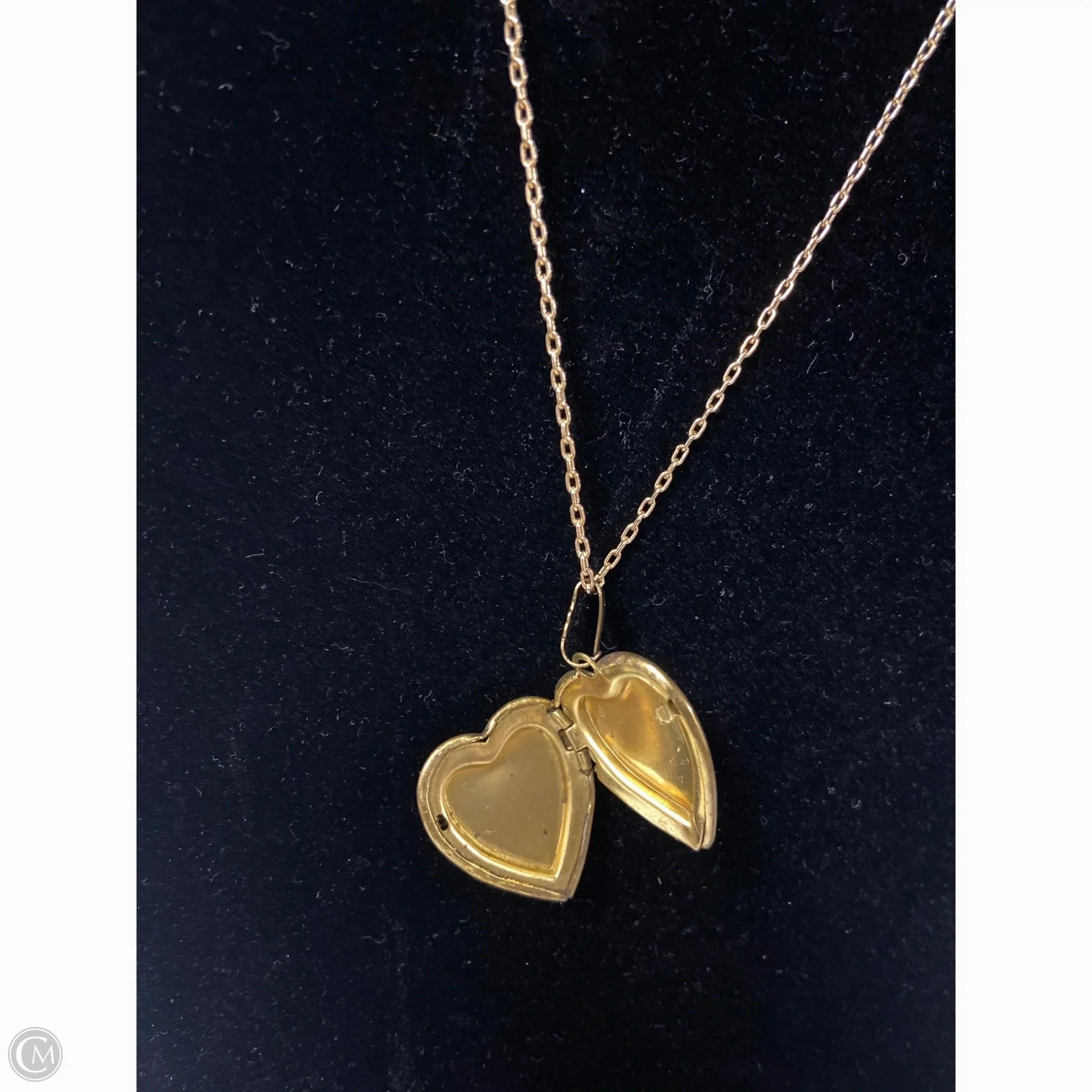 Necklace Chain By Clothes Mentor