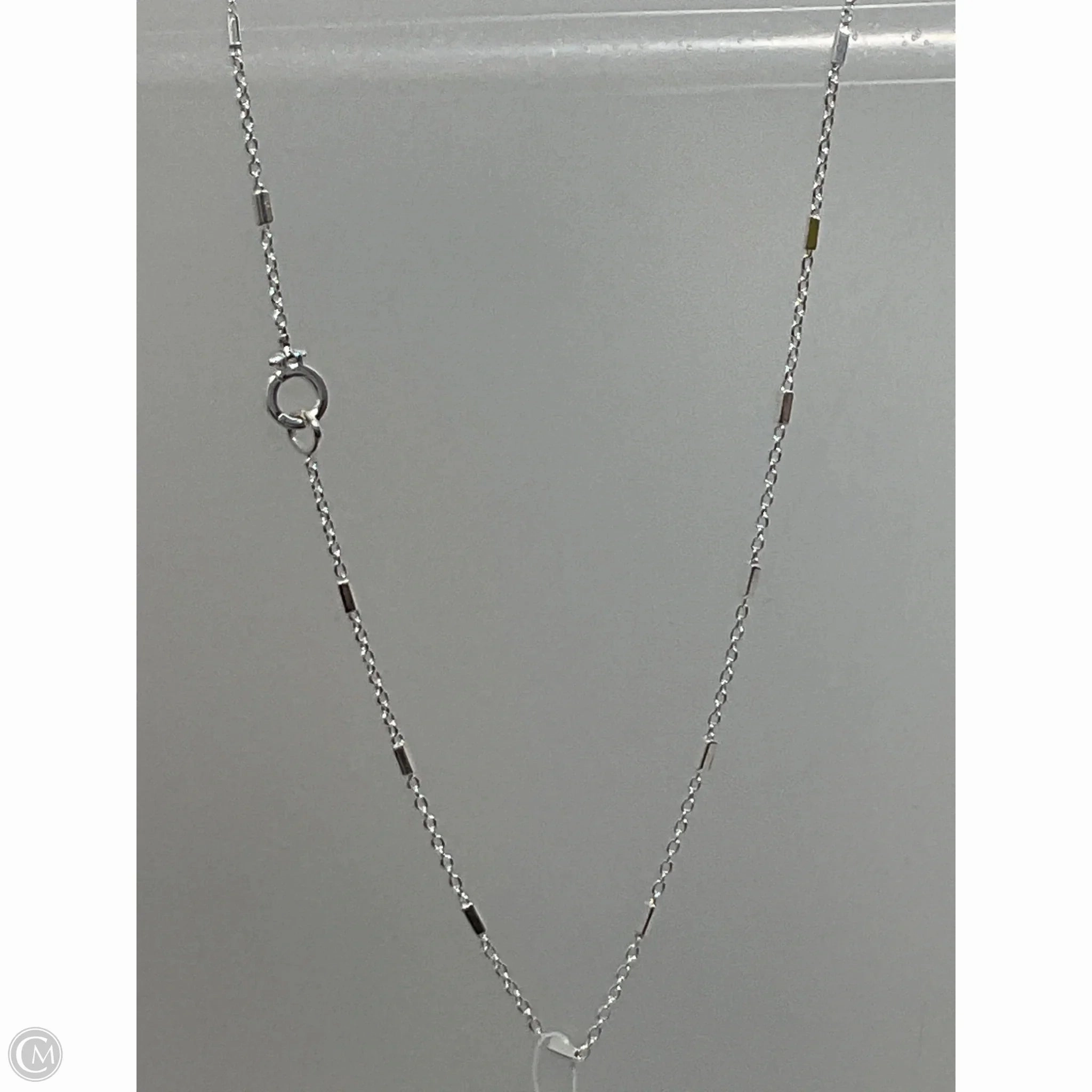 Necklace Chain By Clothes Mentor