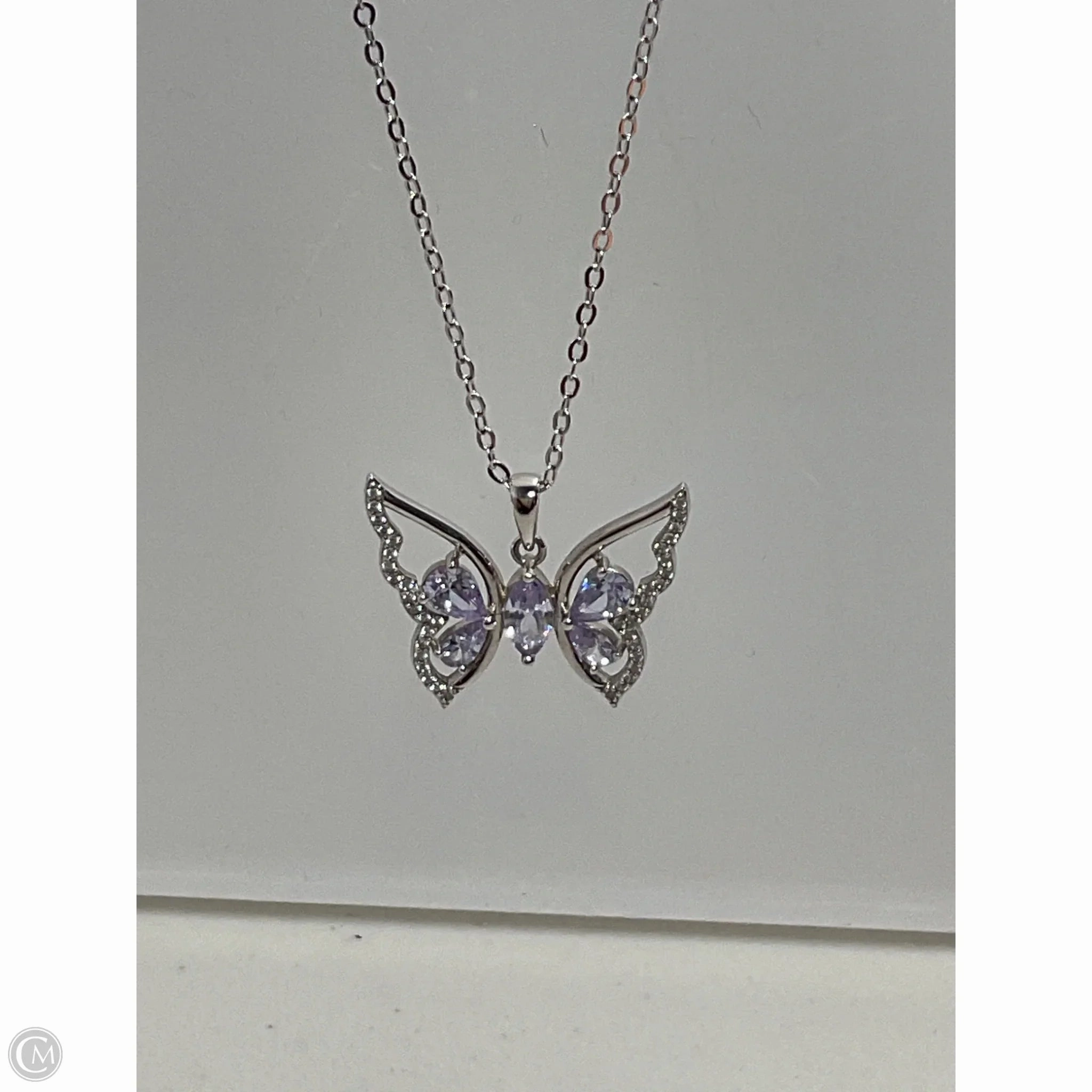 Necklace Chain By Clothes Mentor