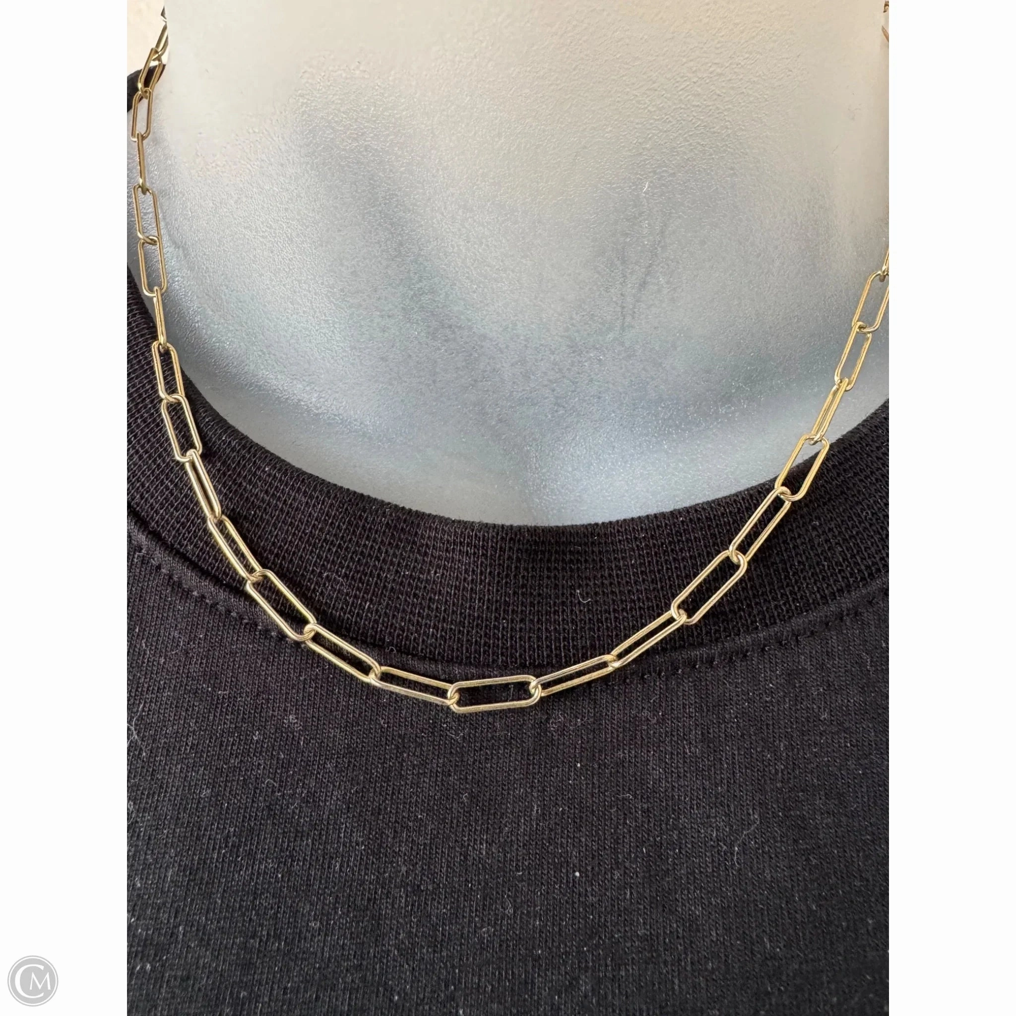 Necklace Chain By Clothes Mentor