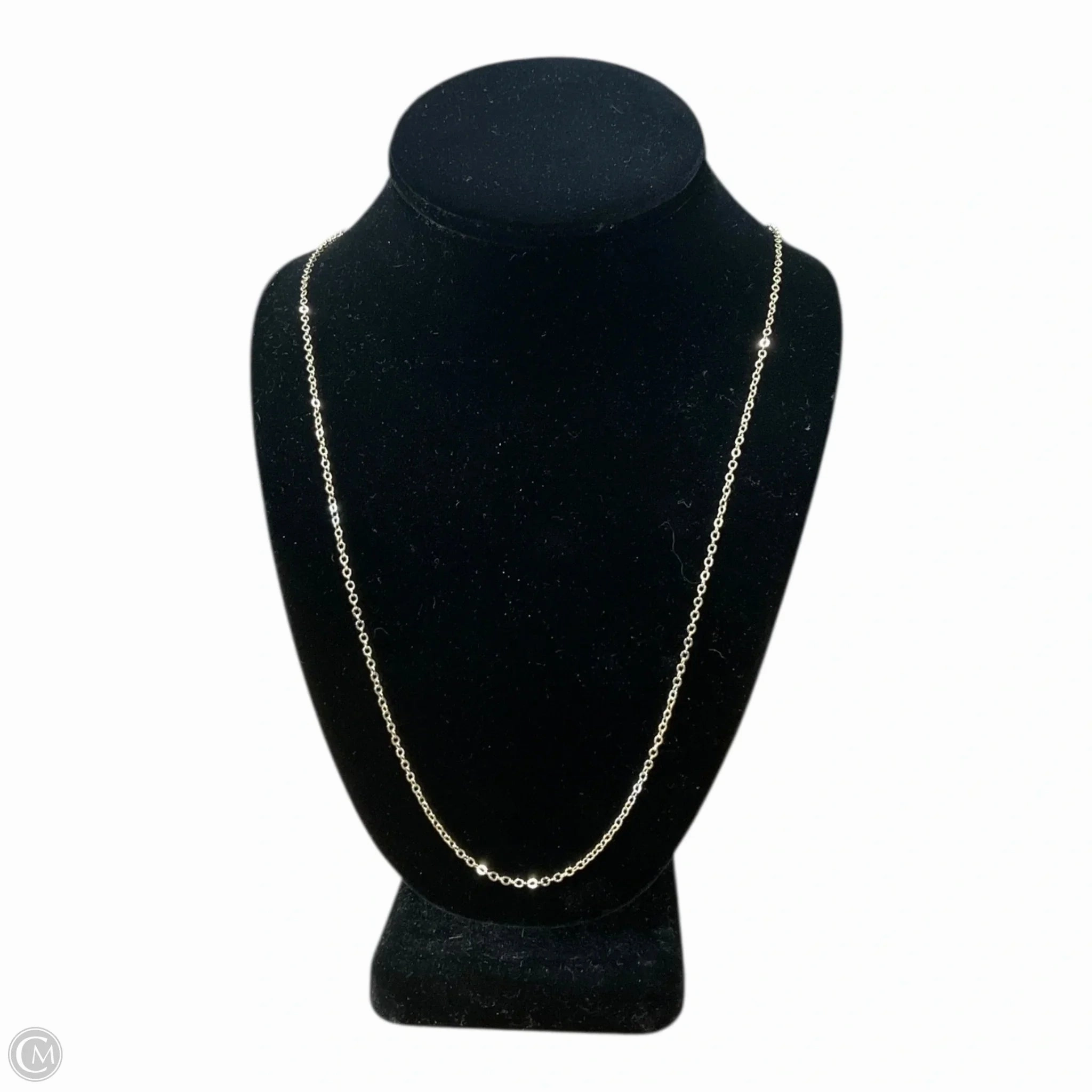 Necklace Chain By Clothes Mentor
