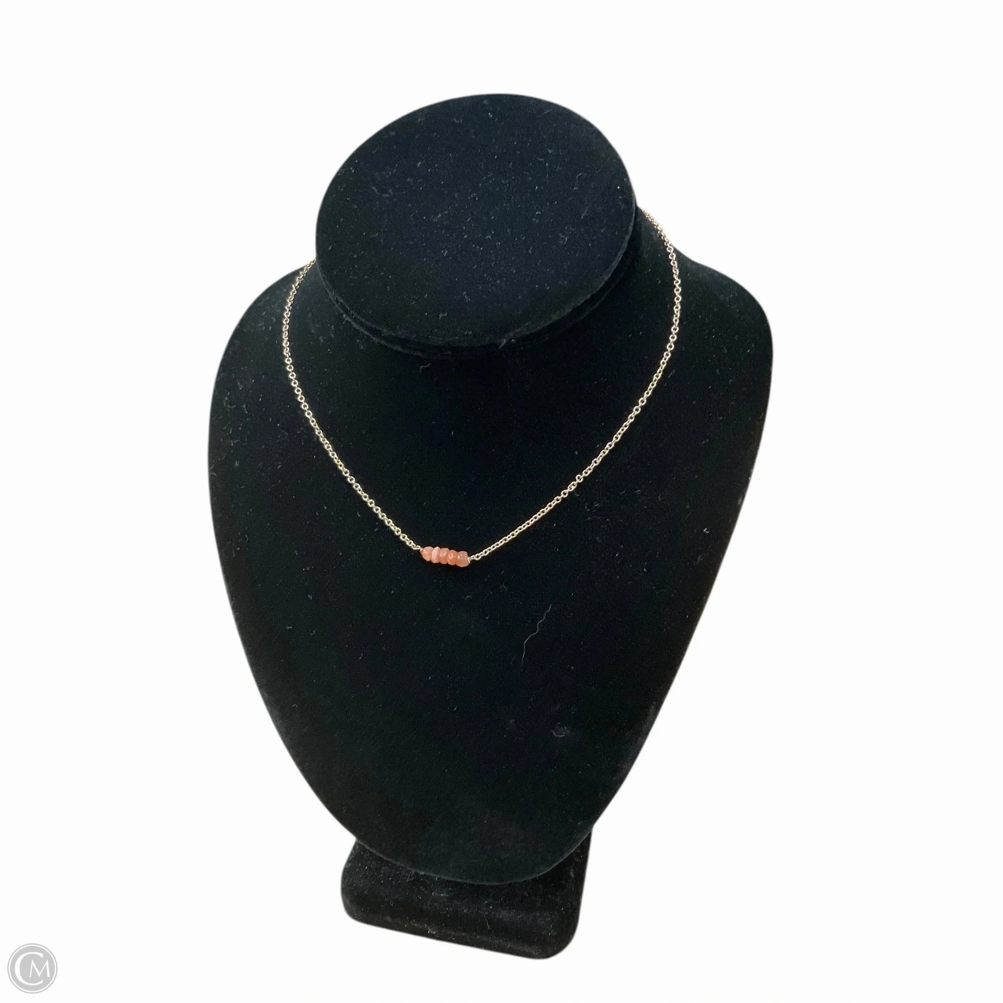Necklace Chain By Clothes Mentor