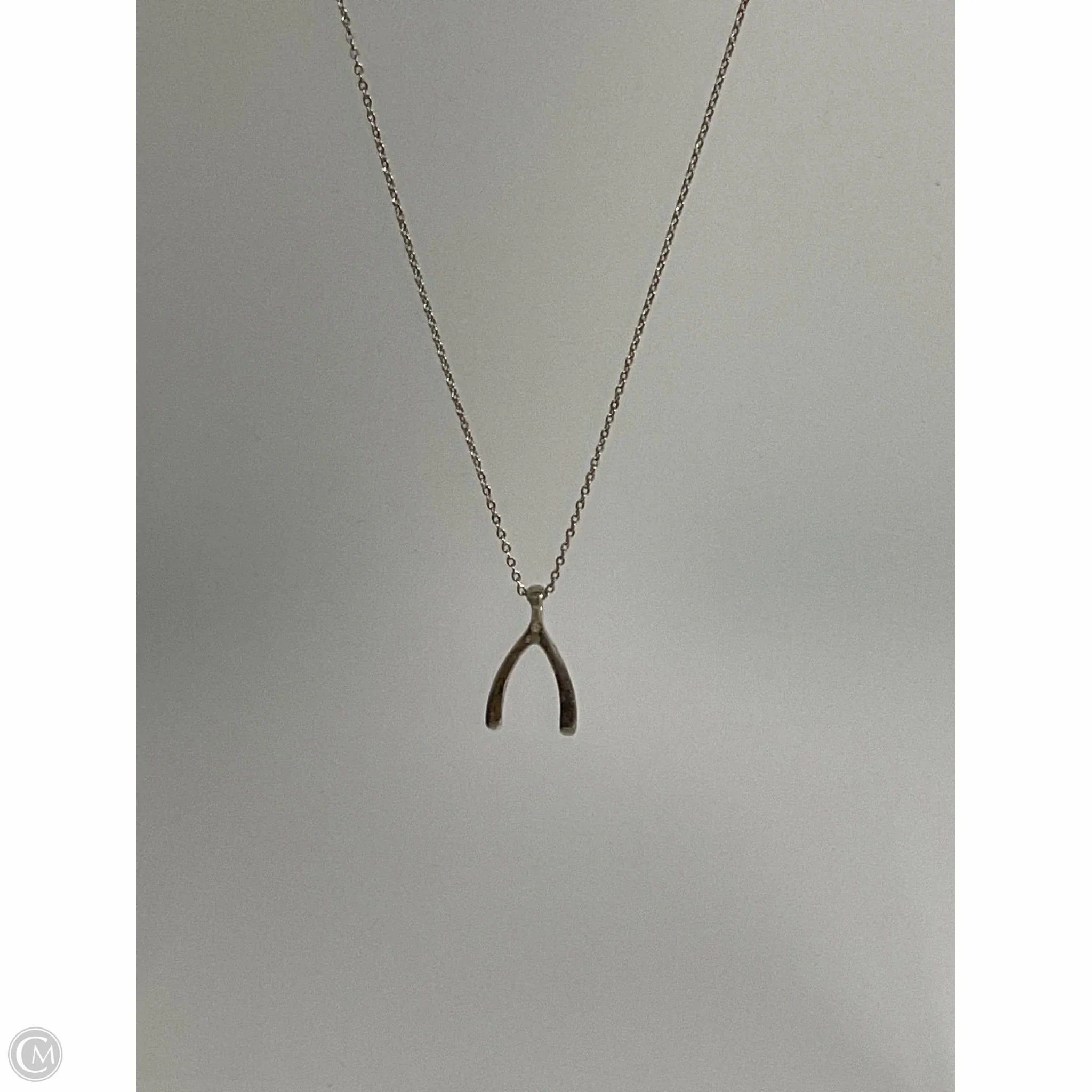 Necklace Chain By Cmb