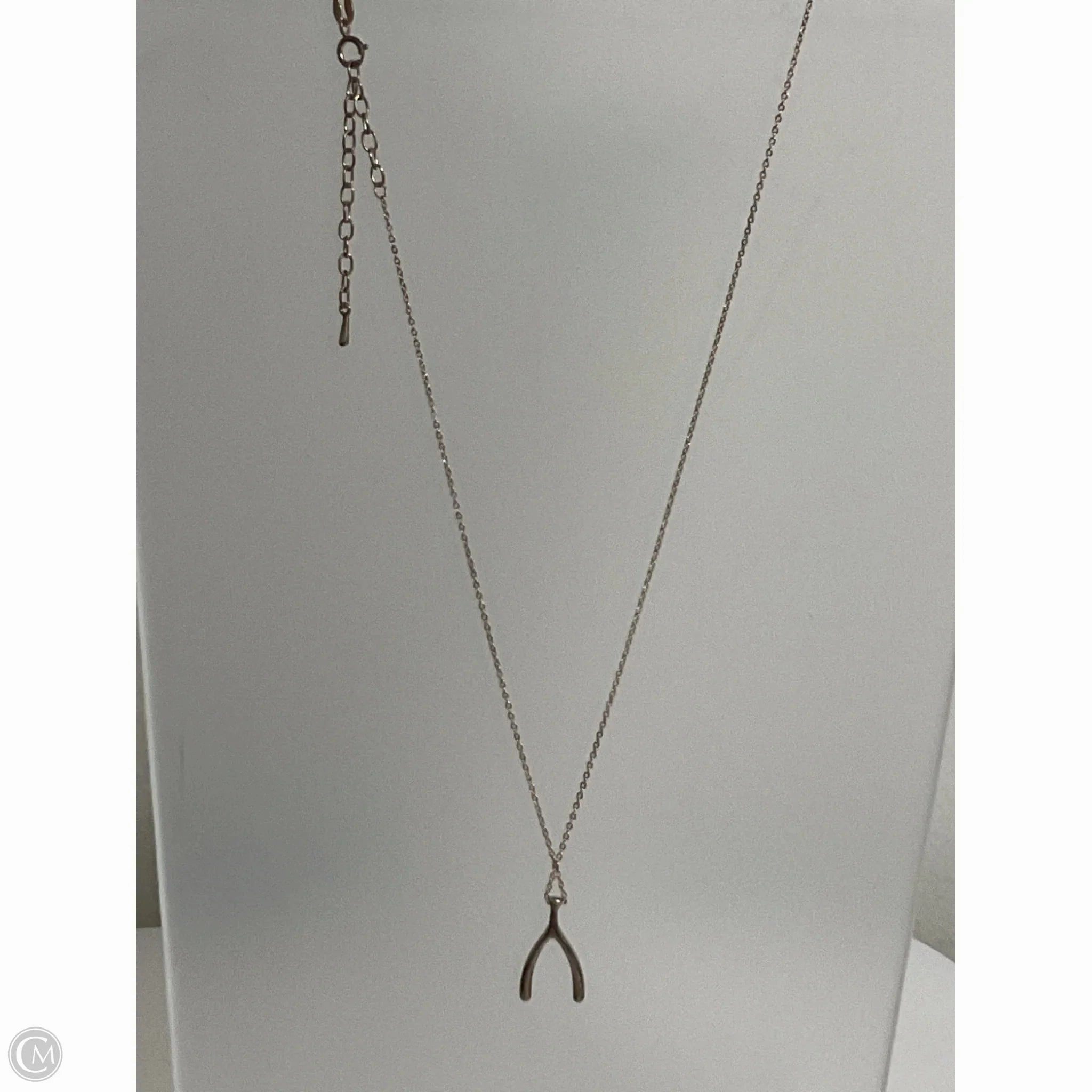 Necklace Chain By Cmb