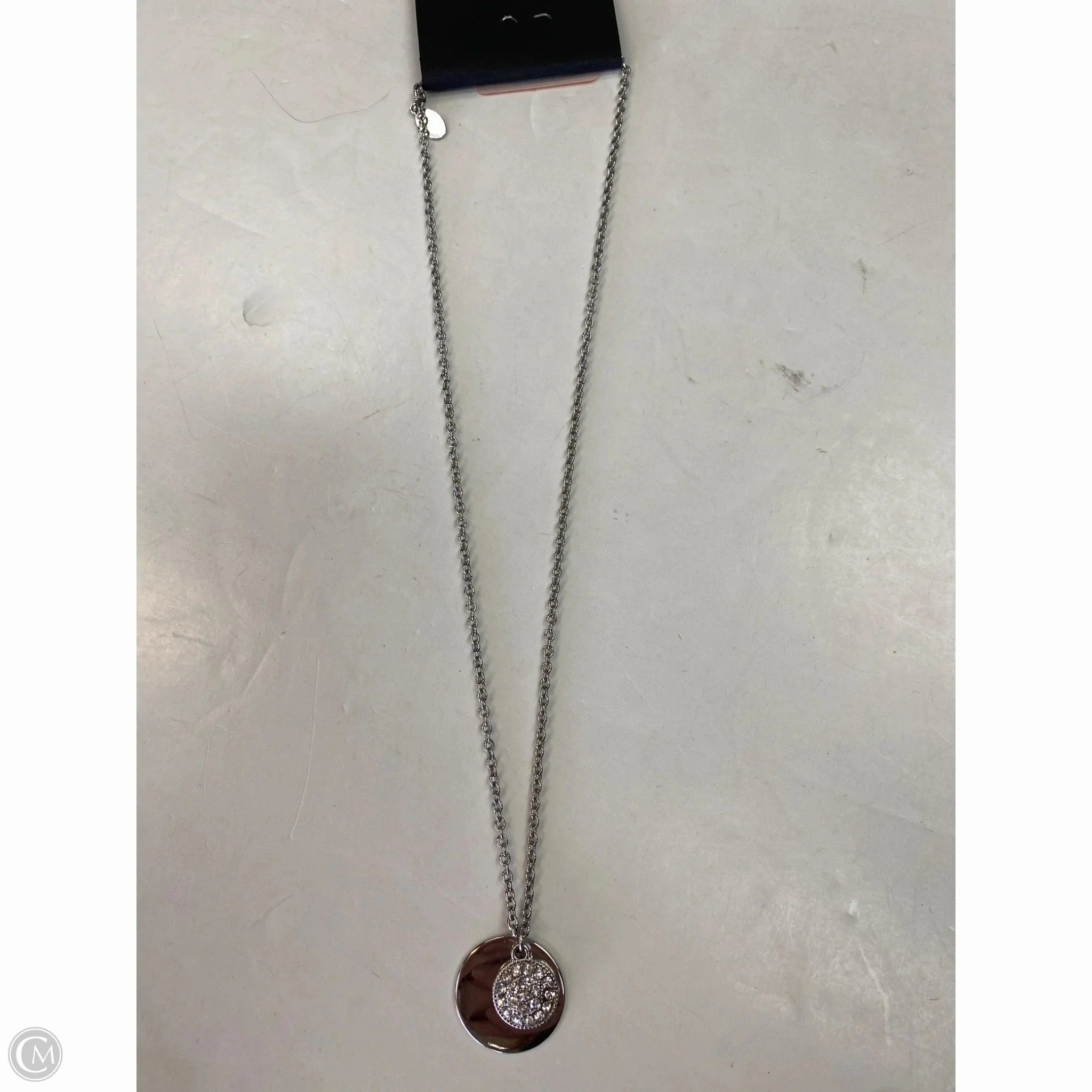 Necklace Chain By Express