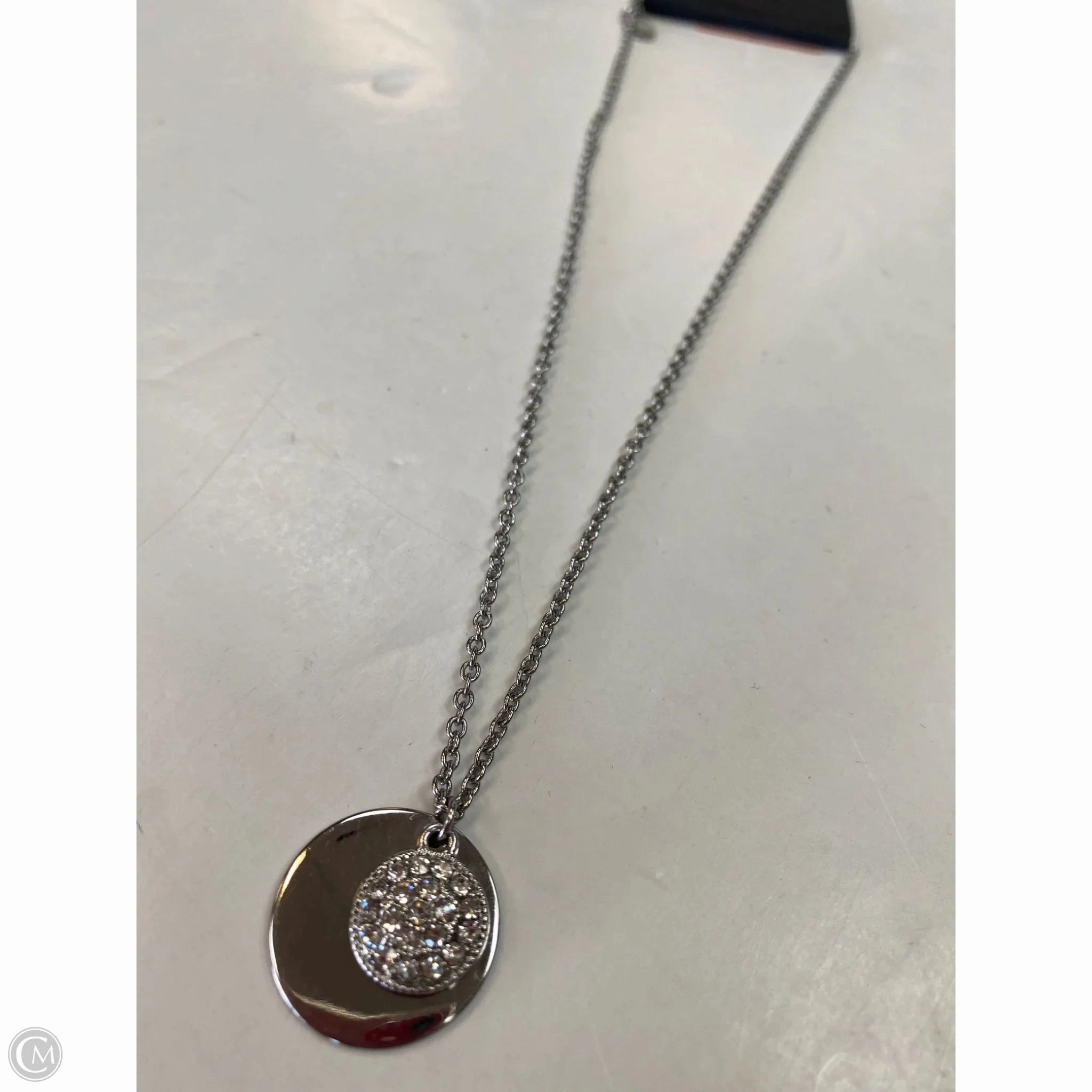Necklace Chain By Express