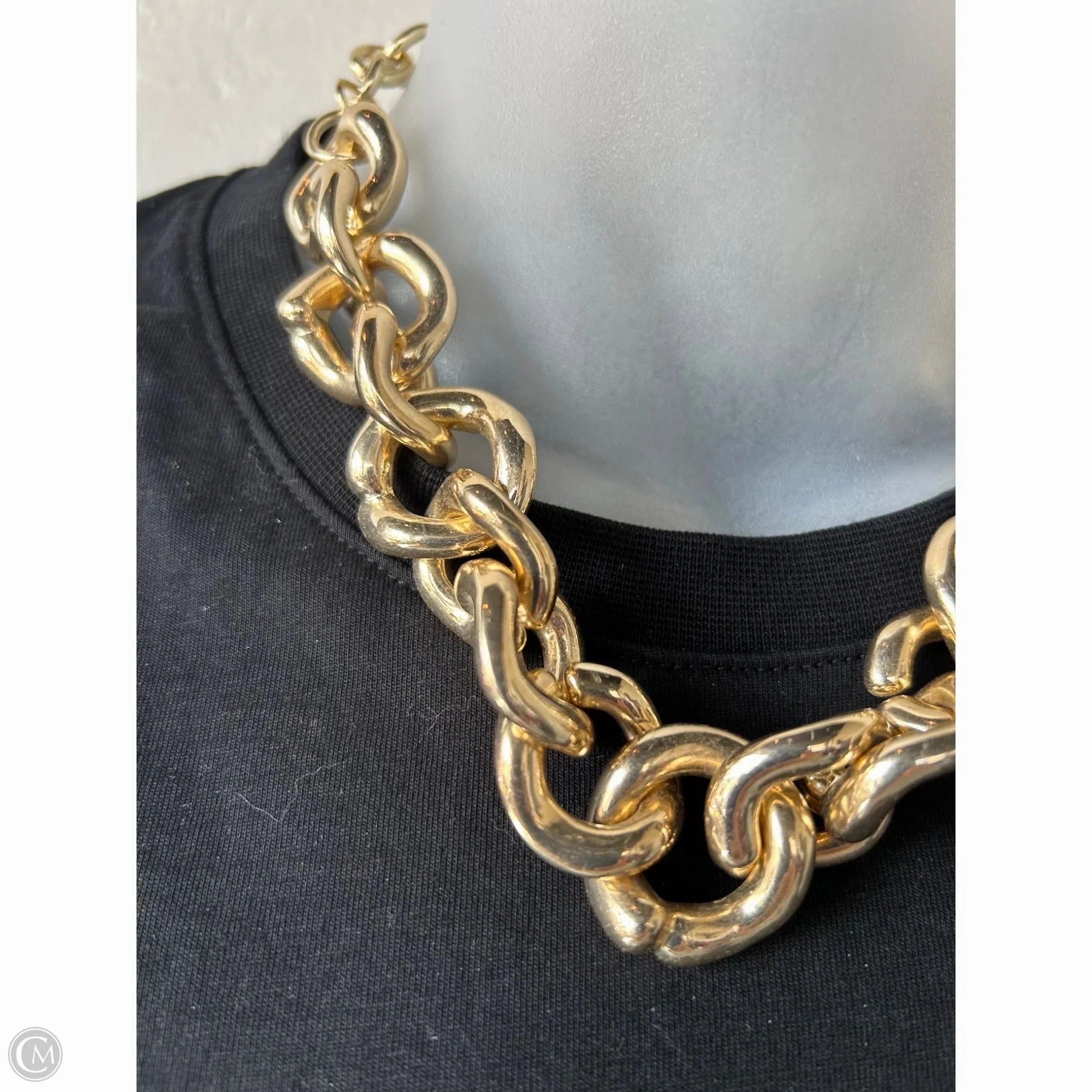 Necklace Chain By Express
