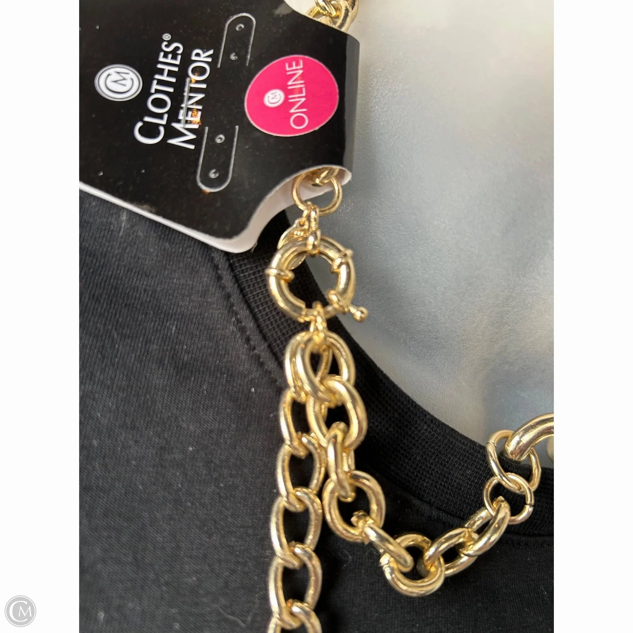 Necklace Chain By Express