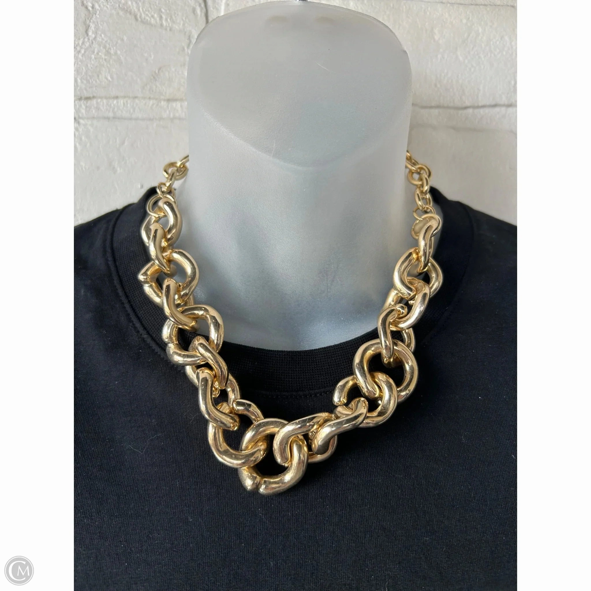 Necklace Chain By Express