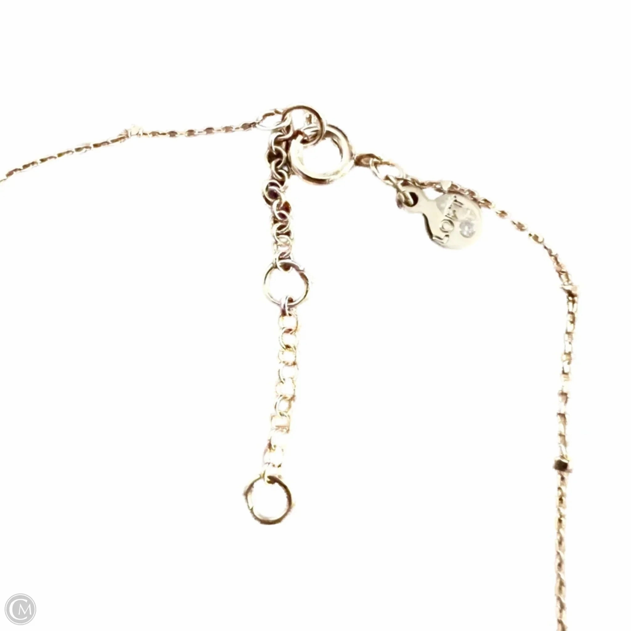 Necklace Chain By Loft