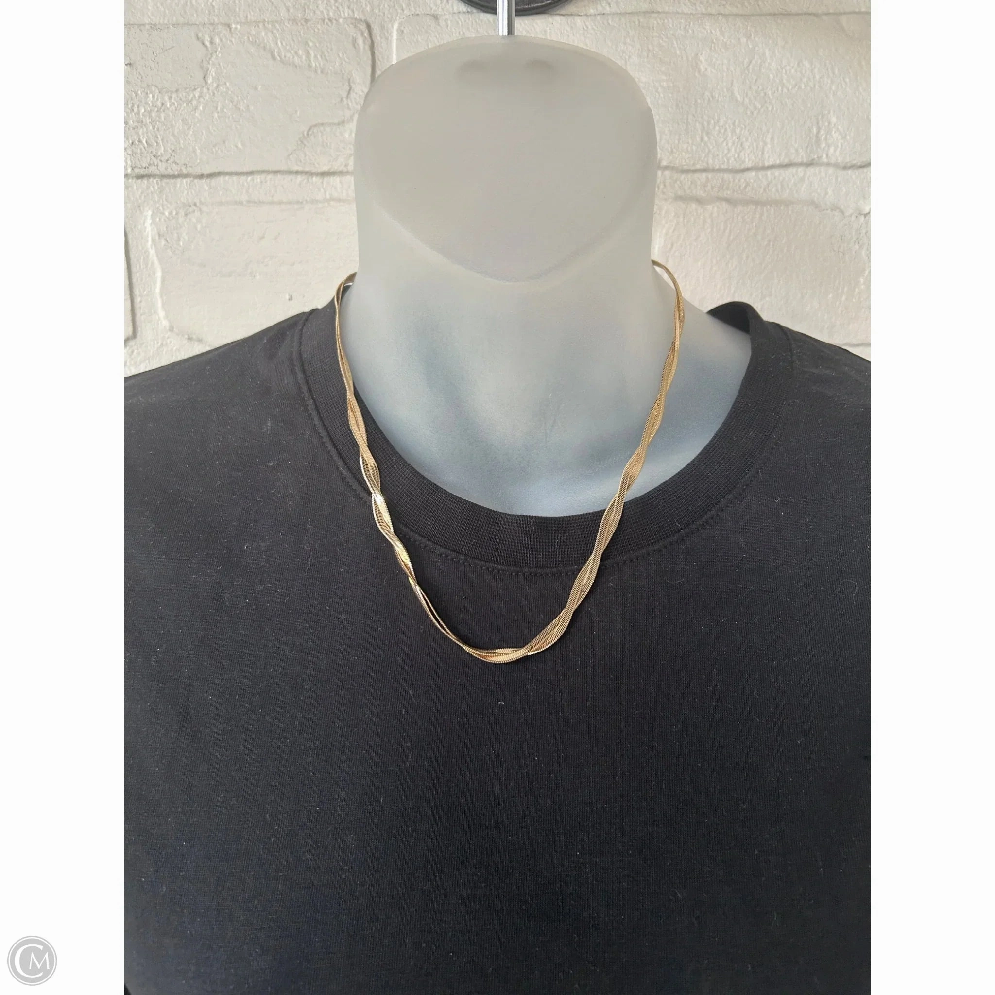 Necklace Chain By Loft