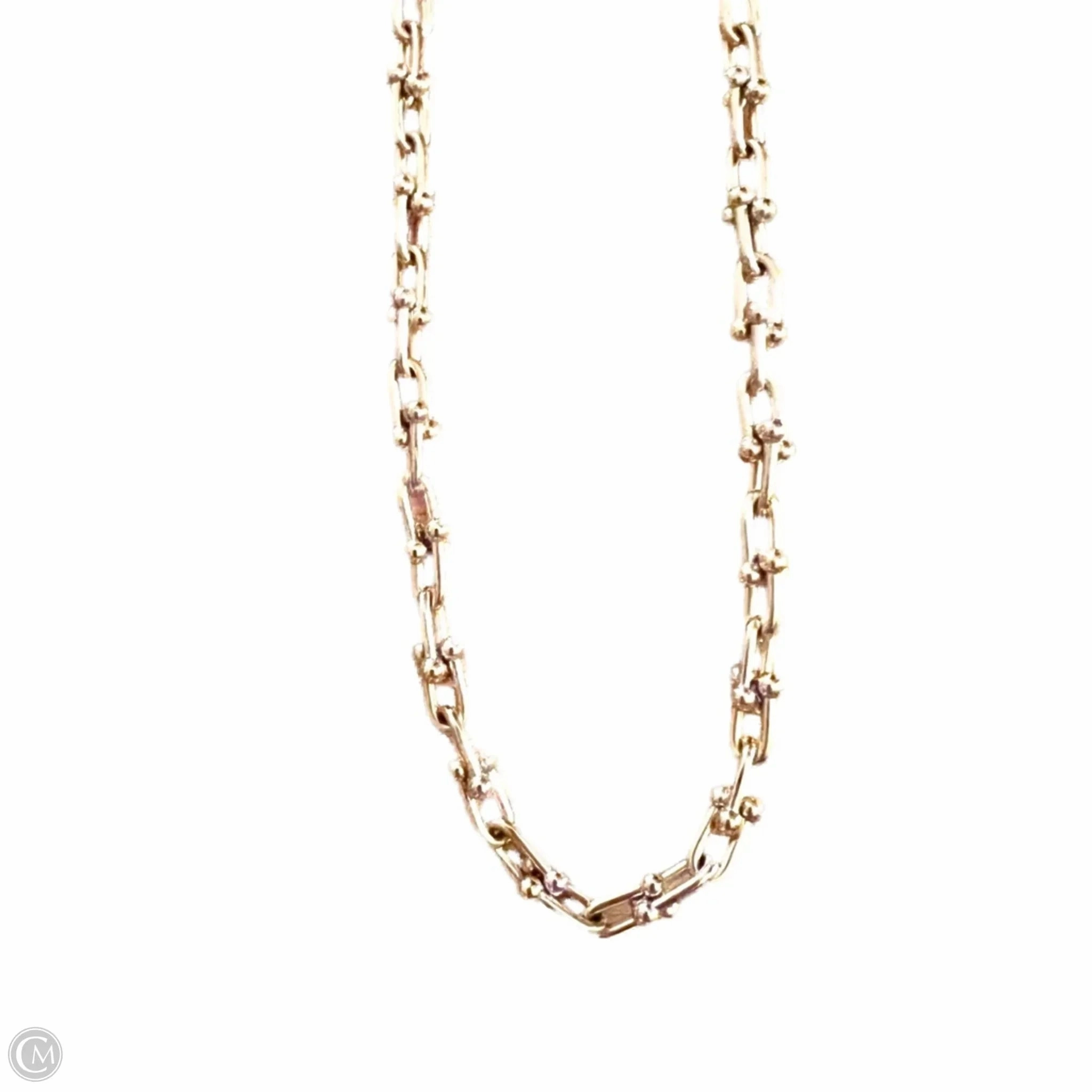 Necklace Chain By Loft