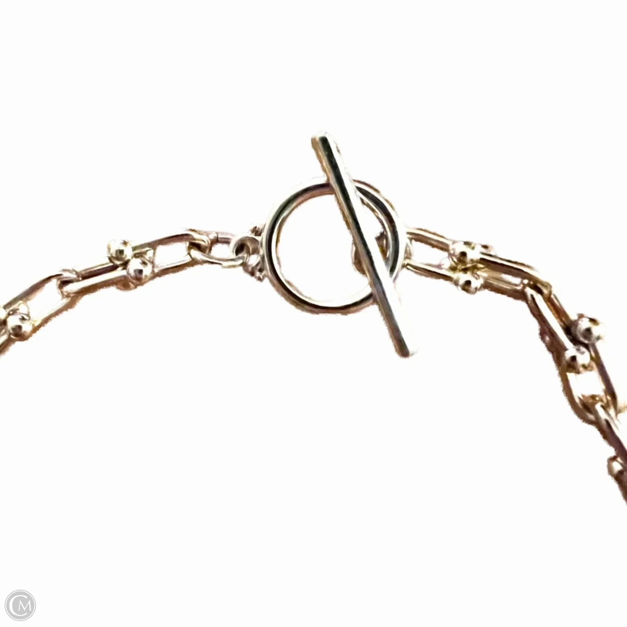 Necklace Chain By Loft