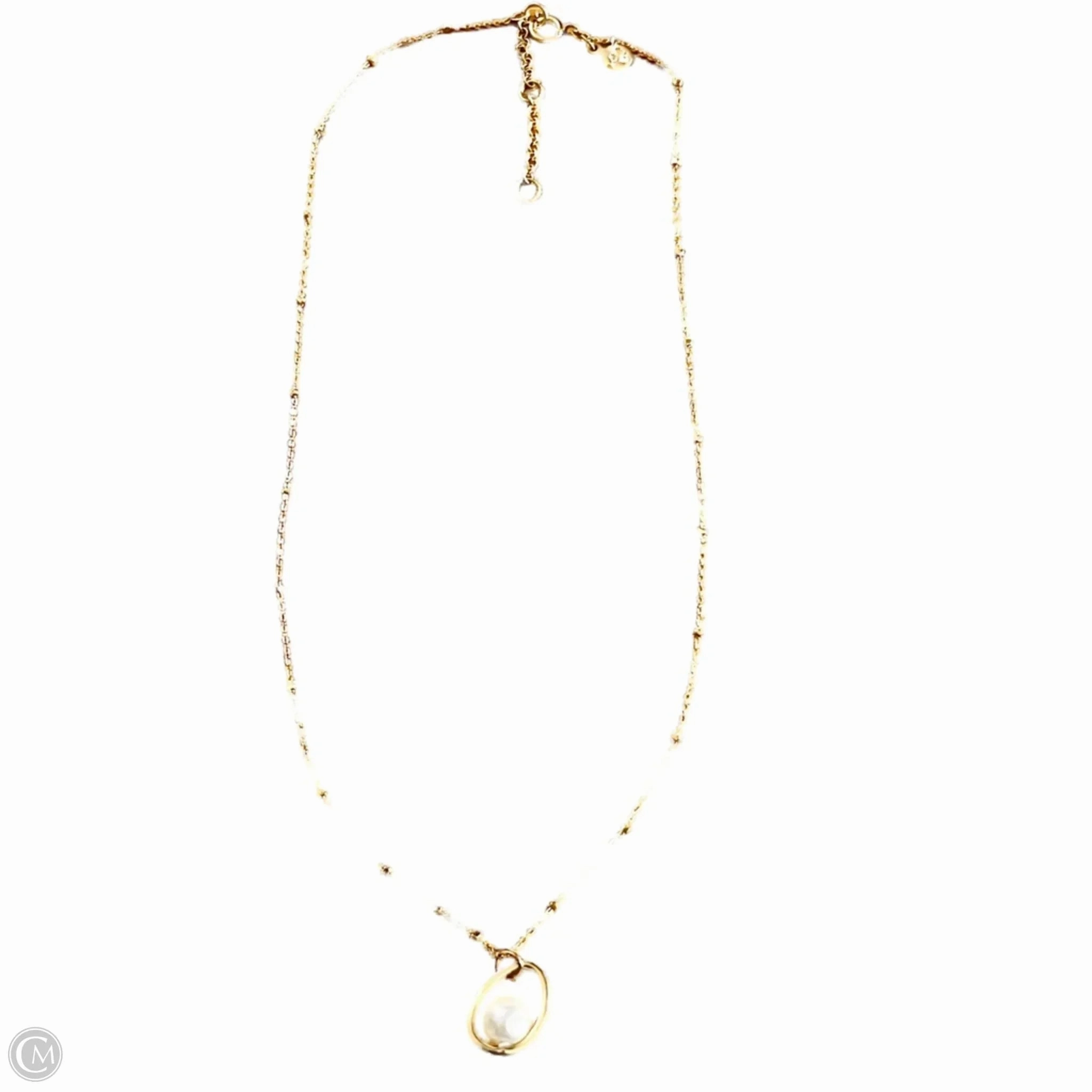 Necklace Chain By Loft