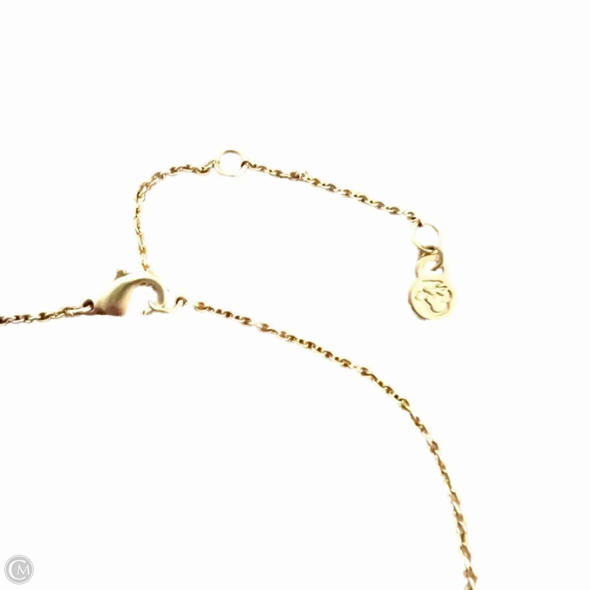Necklace Chain By Spartina