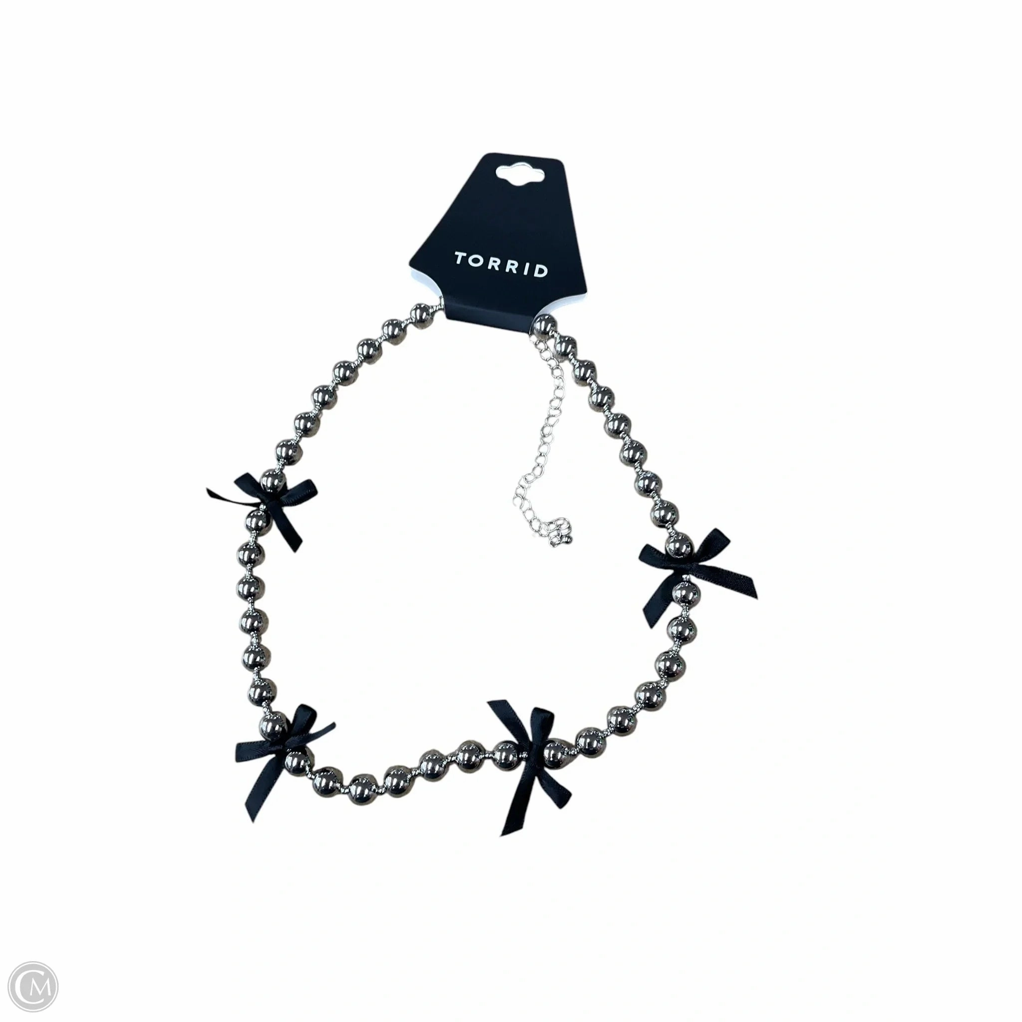 Necklace Chain By Torrid
