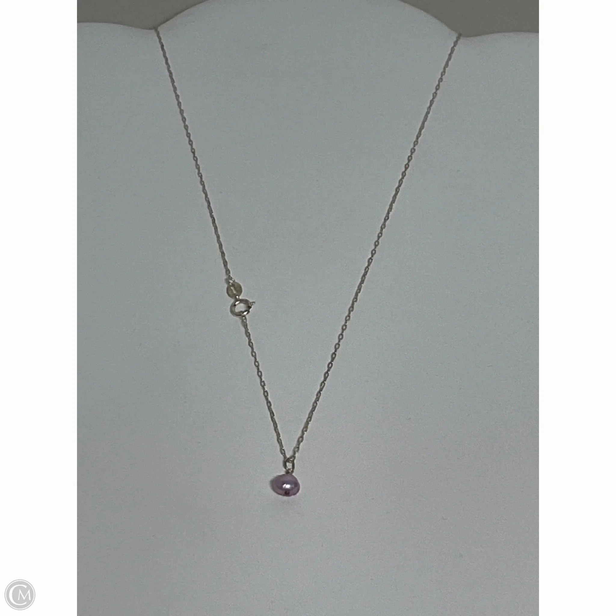 Necklace Charm By Clothes Mentor