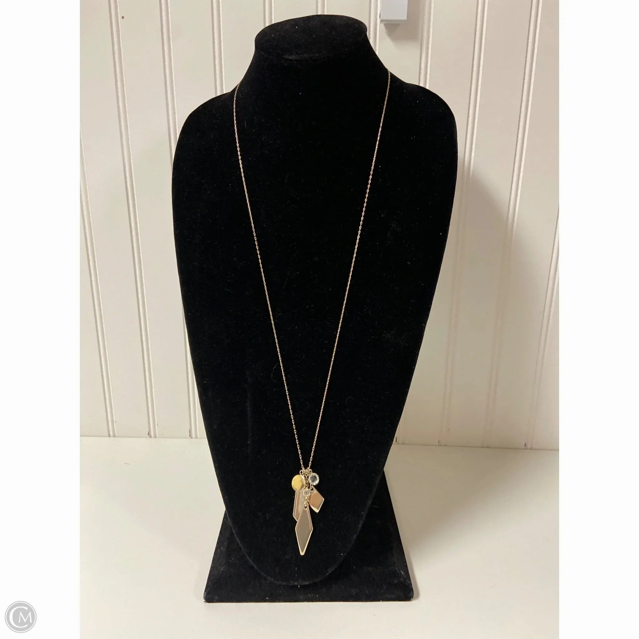 Necklace Charm By Loft