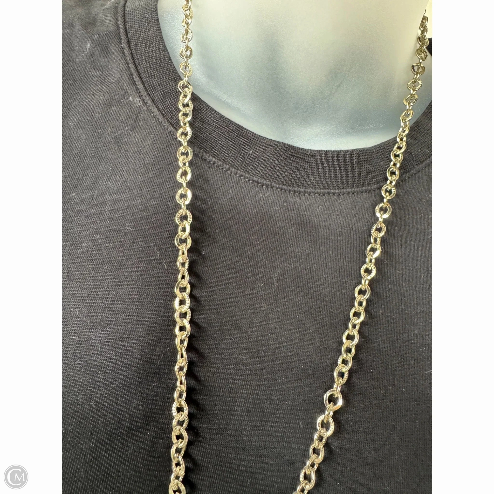 Necklace Lariat & Y-drop By Chicos