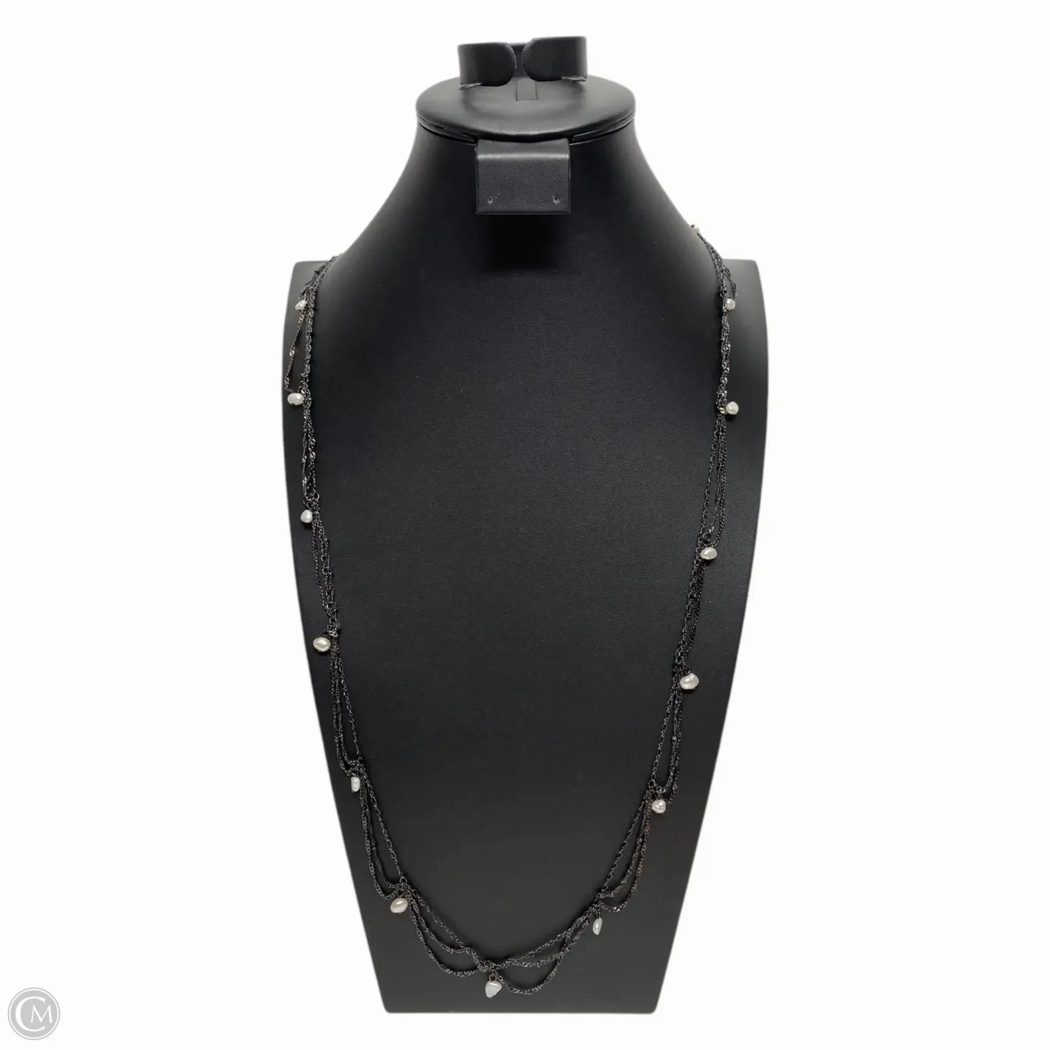 Necklace Layered By Banana Republic