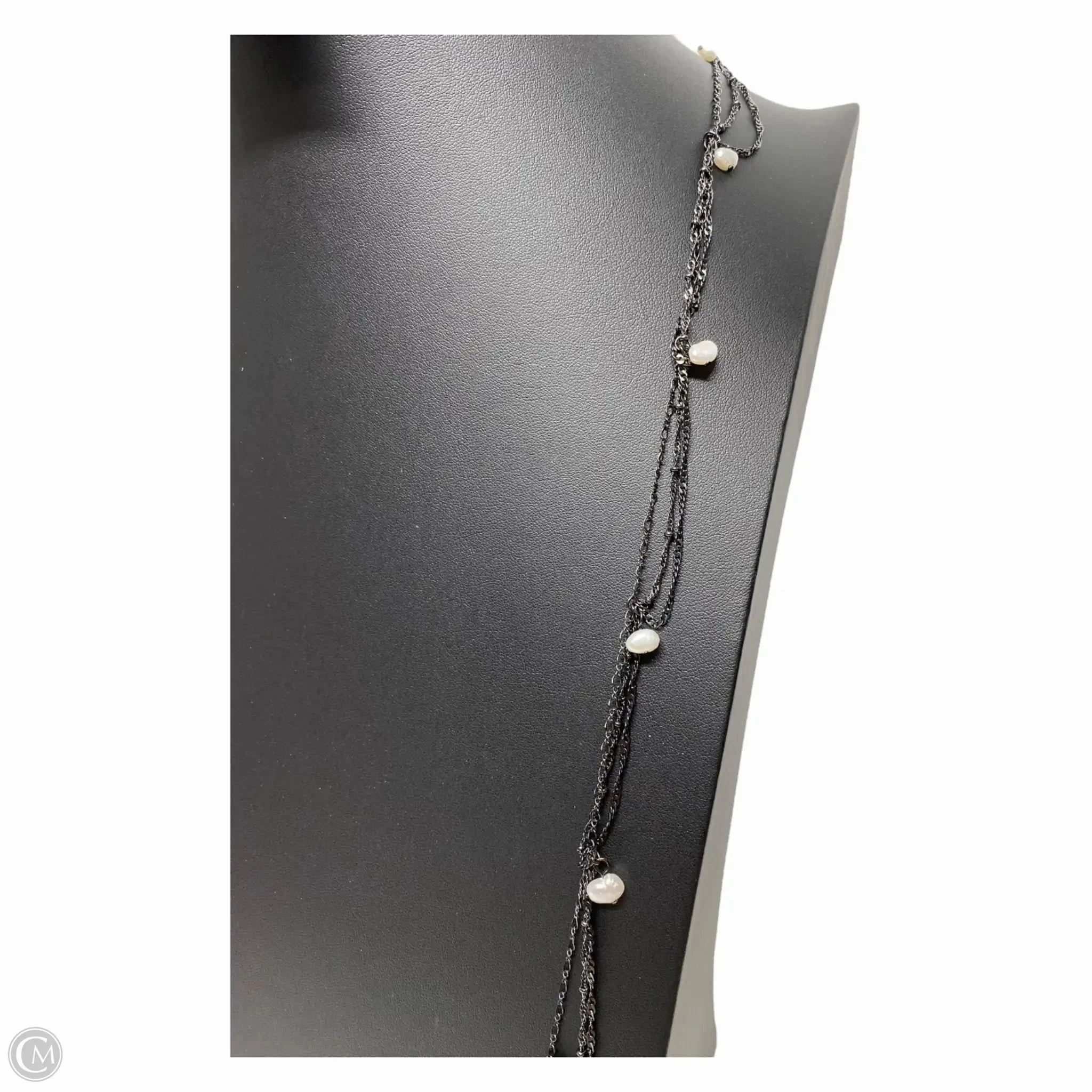 Necklace Layered By Banana Republic