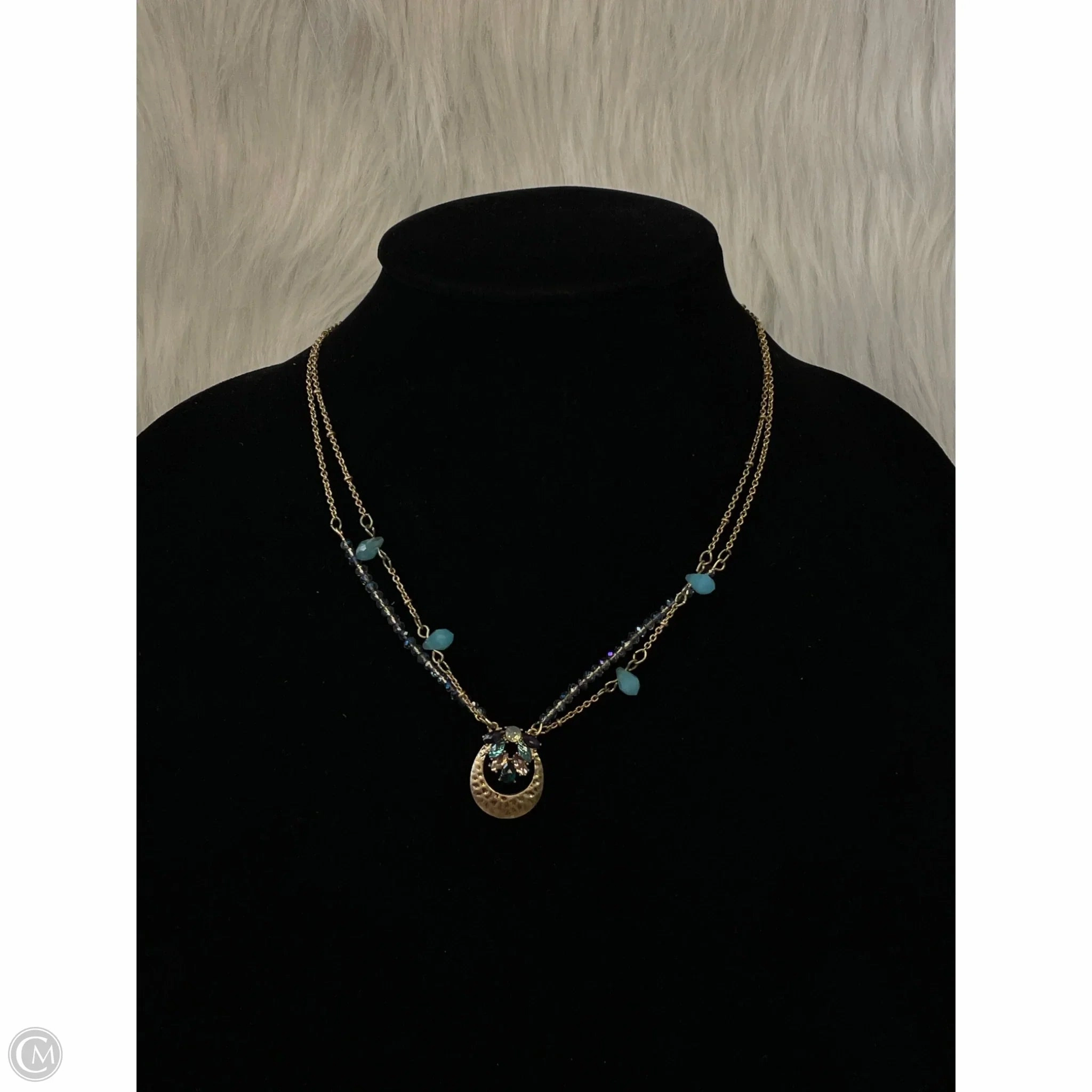 Necklace Layered By Clothes Mentor
