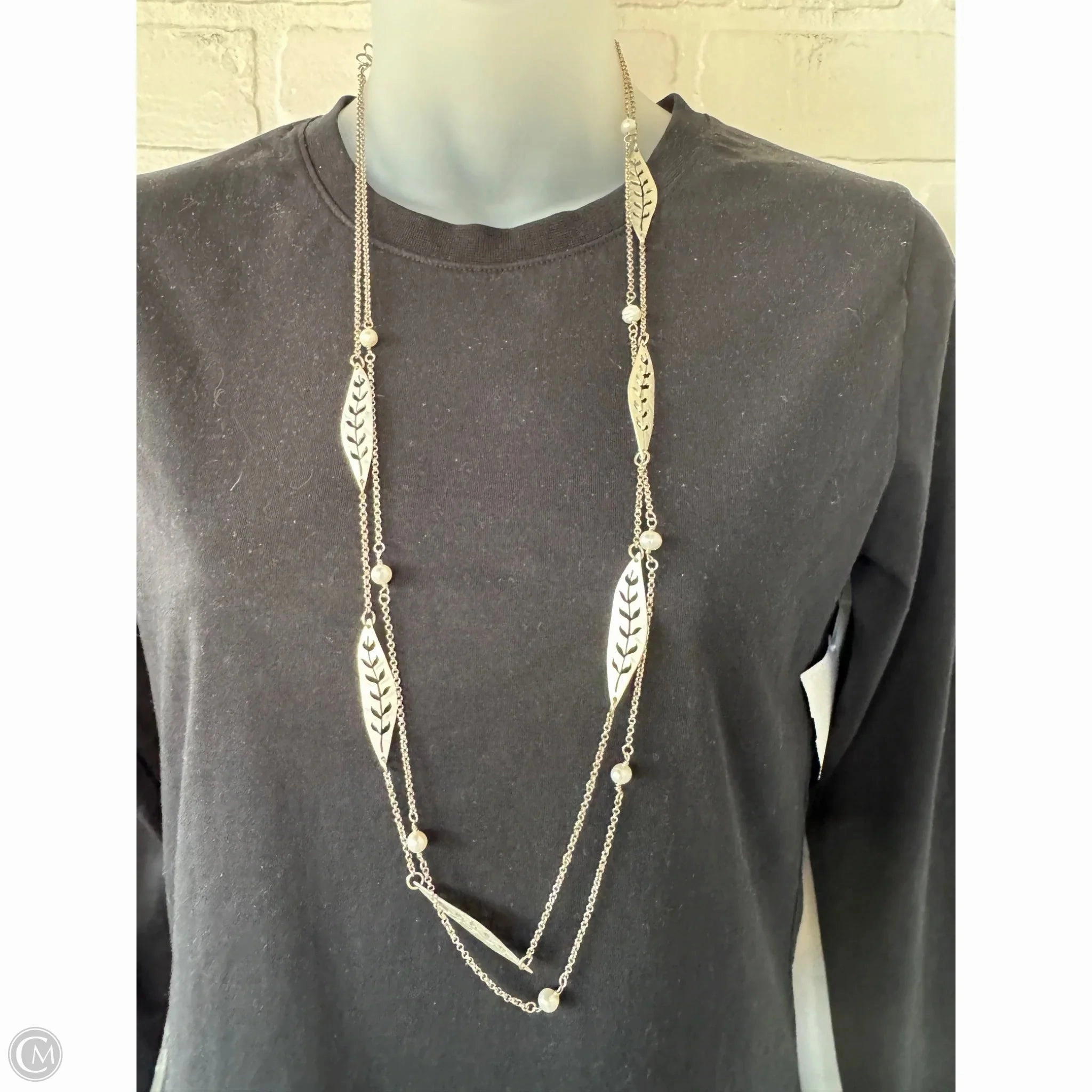 Necklace Layered By Clothes Mentor