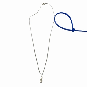 Necklace Luxury Designer By Tiffany And Company