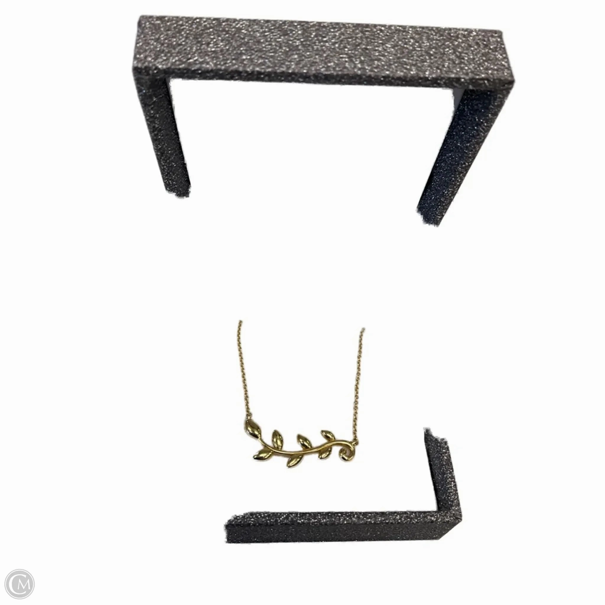 Necklace Luxury Designer By Tiffany And Company